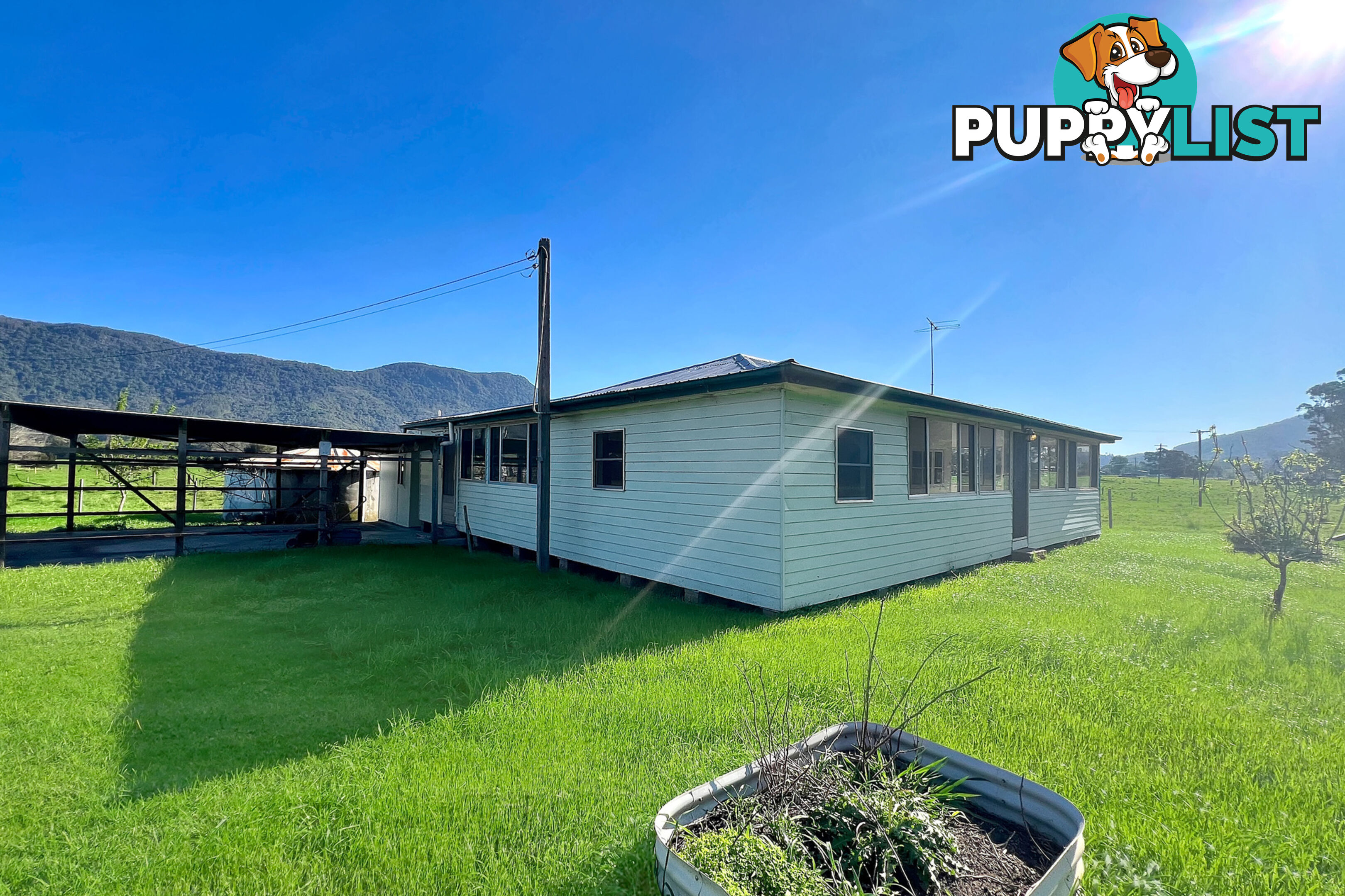 1387 Nowendoc Road MOUNT GEORGE NSW 2424