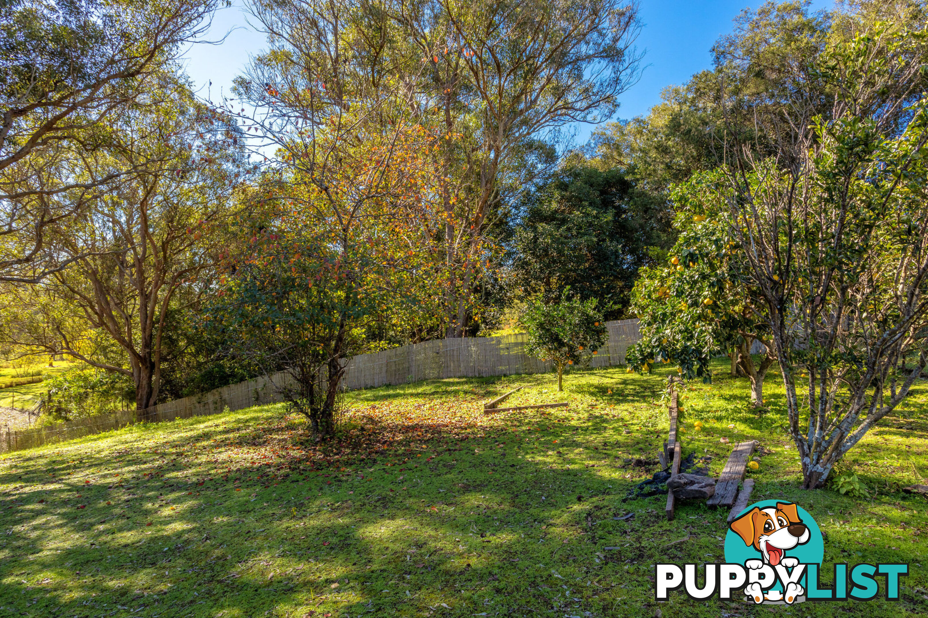 17 Abbotts Falls Road WINGHAM NSW 2429