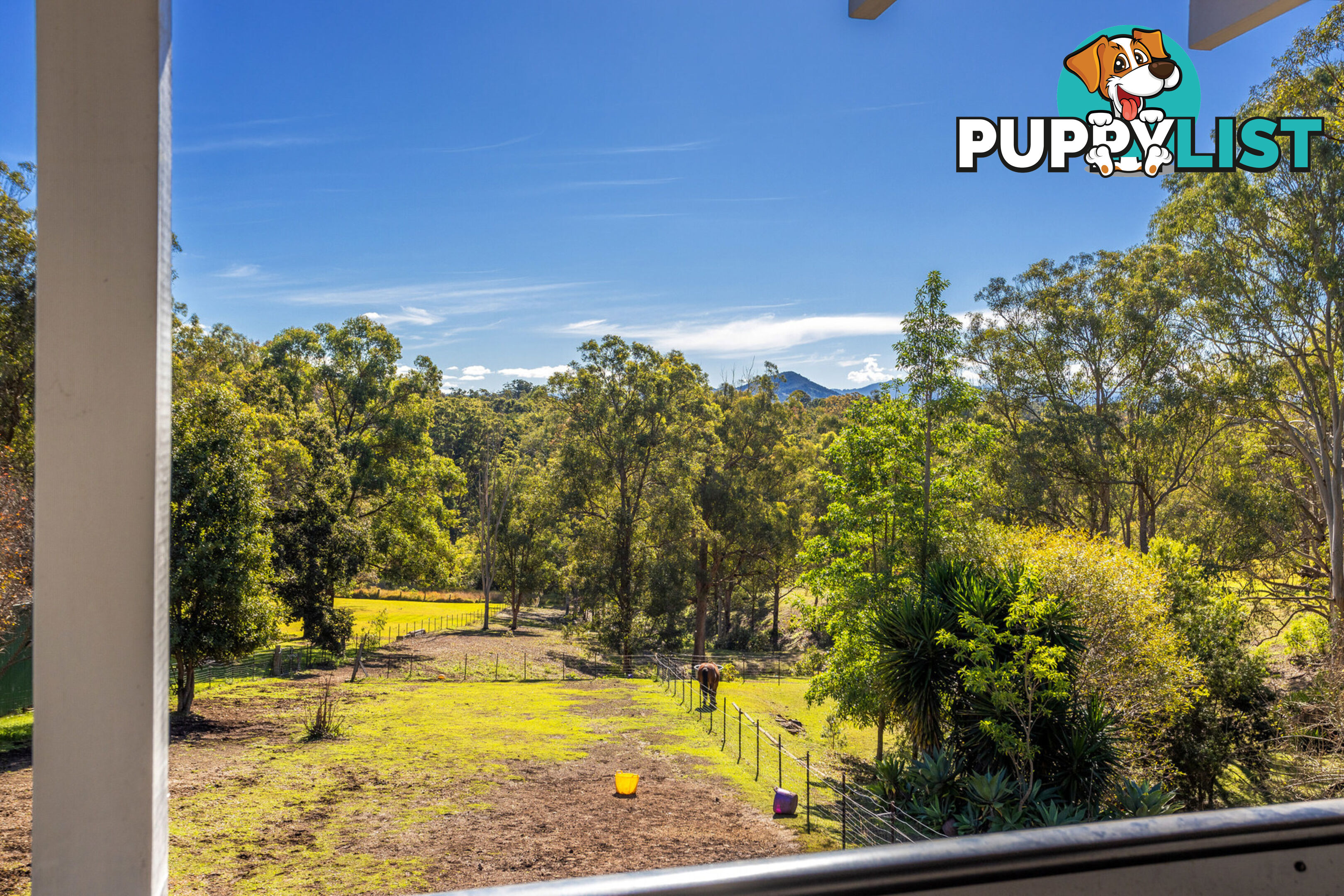 17 Abbotts Falls Road WINGHAM NSW 2429