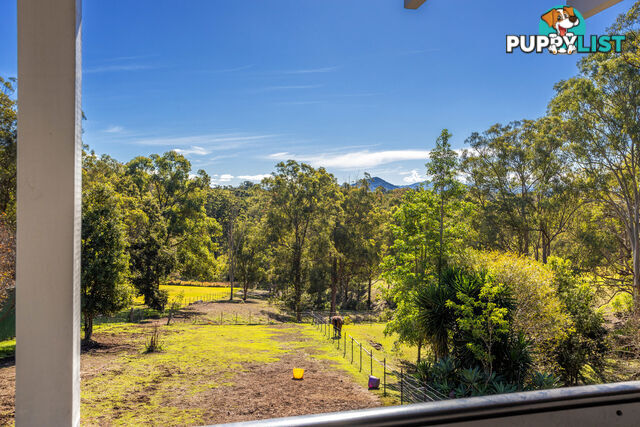 17 Abbotts Falls Road WINGHAM NSW 2429