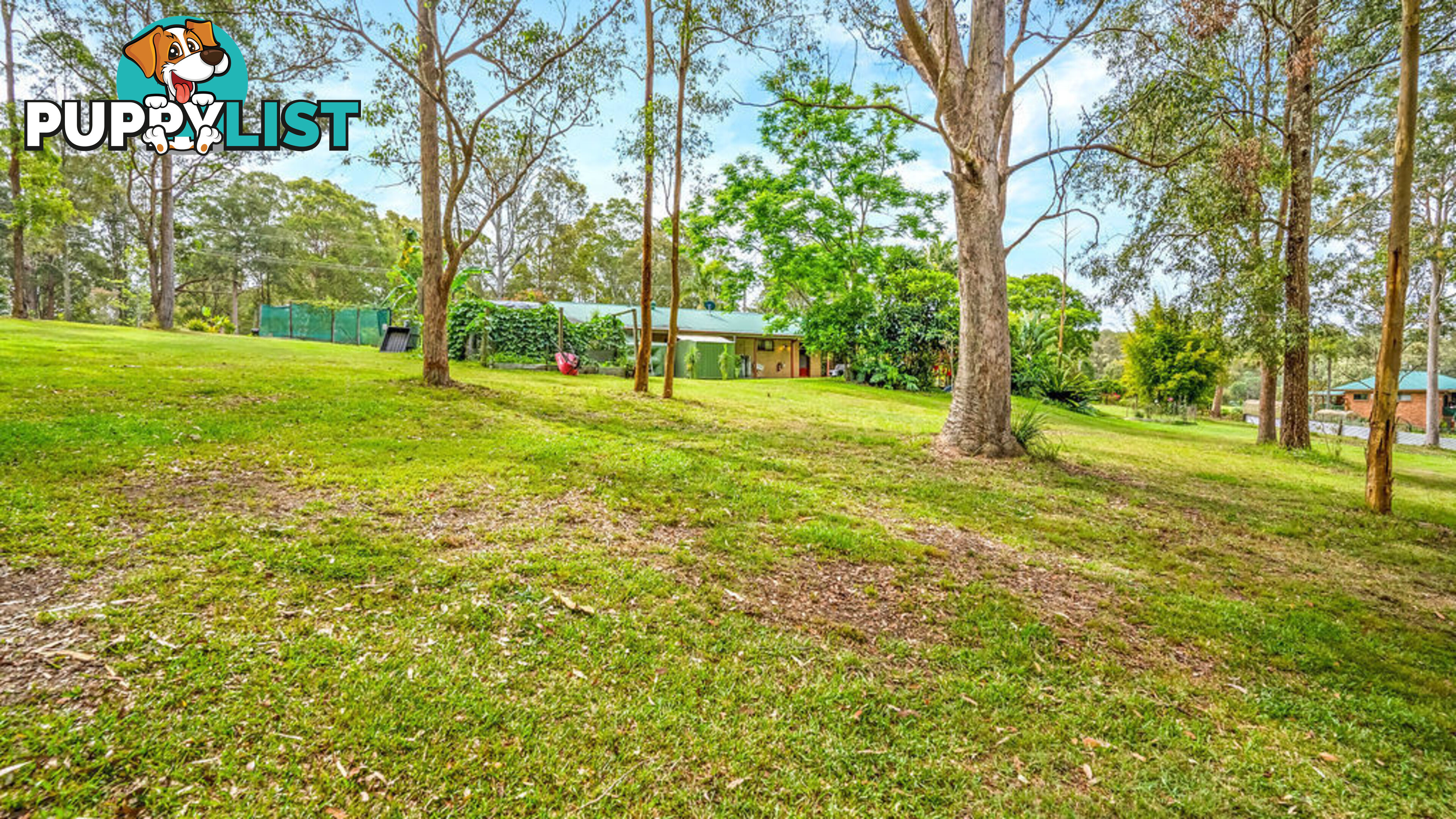 16 Rosella Drive WINGHAM NSW 2429