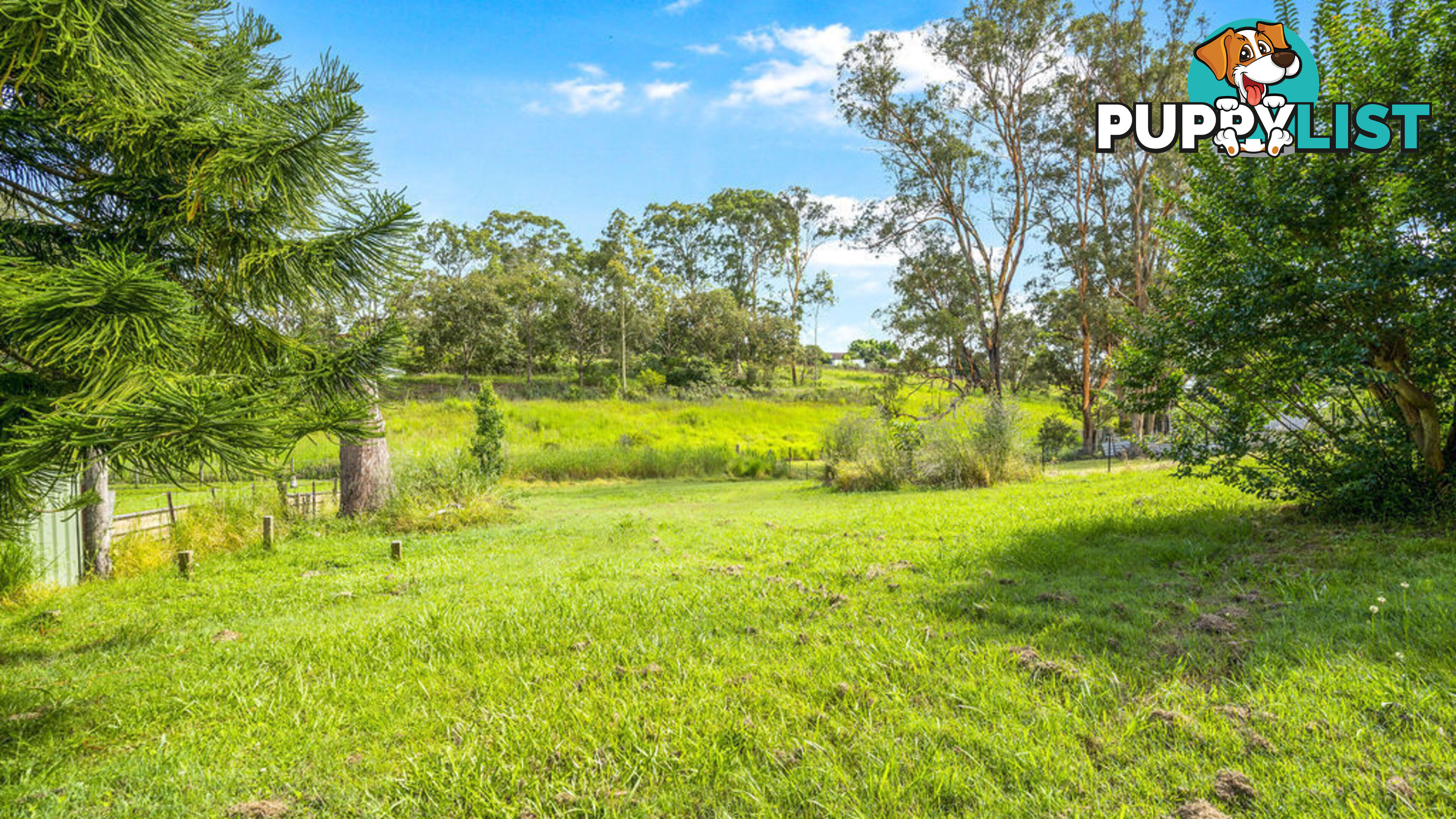 15 McPherson Street WINGHAM NSW 2429