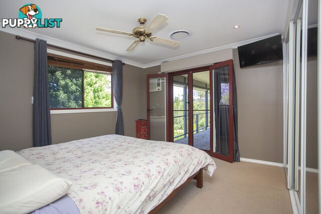 17-19 West Appletree Street WINGHAM NSW 2429