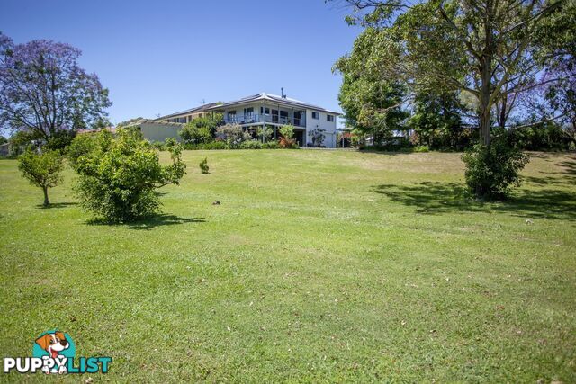 17-19 West Appletree Street WINGHAM NSW 2429