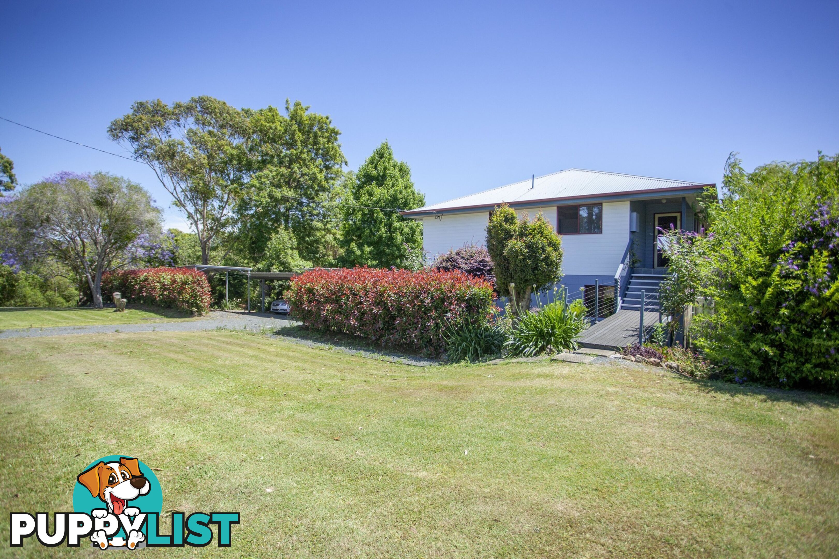 17-19 West Appletree Street WINGHAM NSW 2429