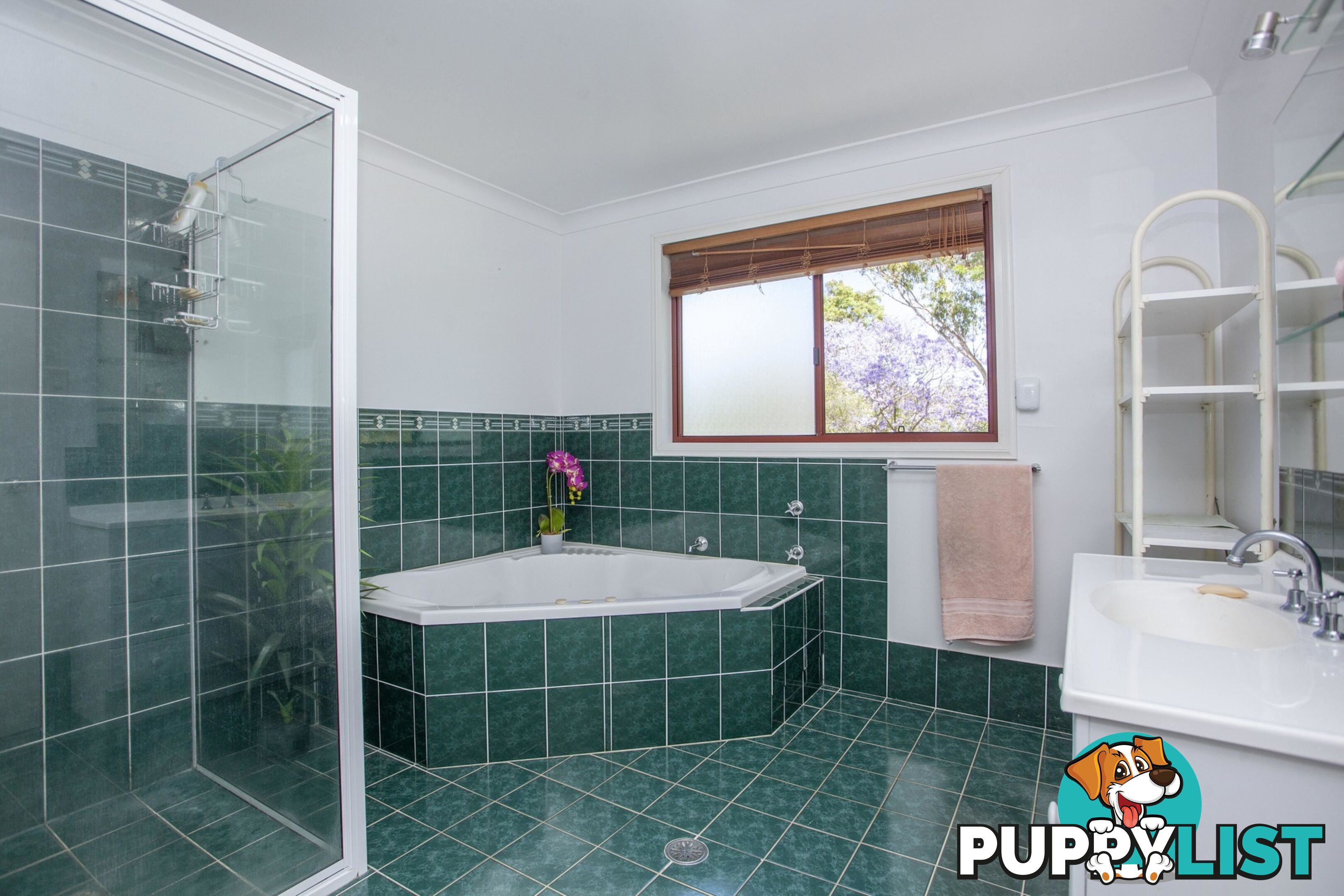 17-19 West Appletree Street WINGHAM NSW 2429