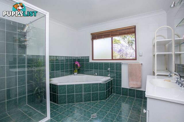 17-19 West Appletree Street WINGHAM NSW 2429