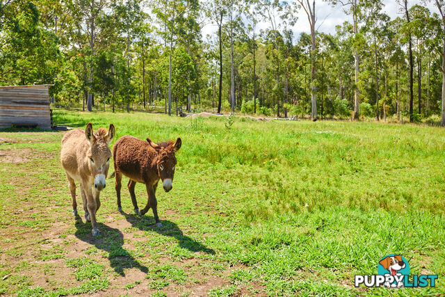 9 Wynters Road BURRELL CREEK NSW 2429