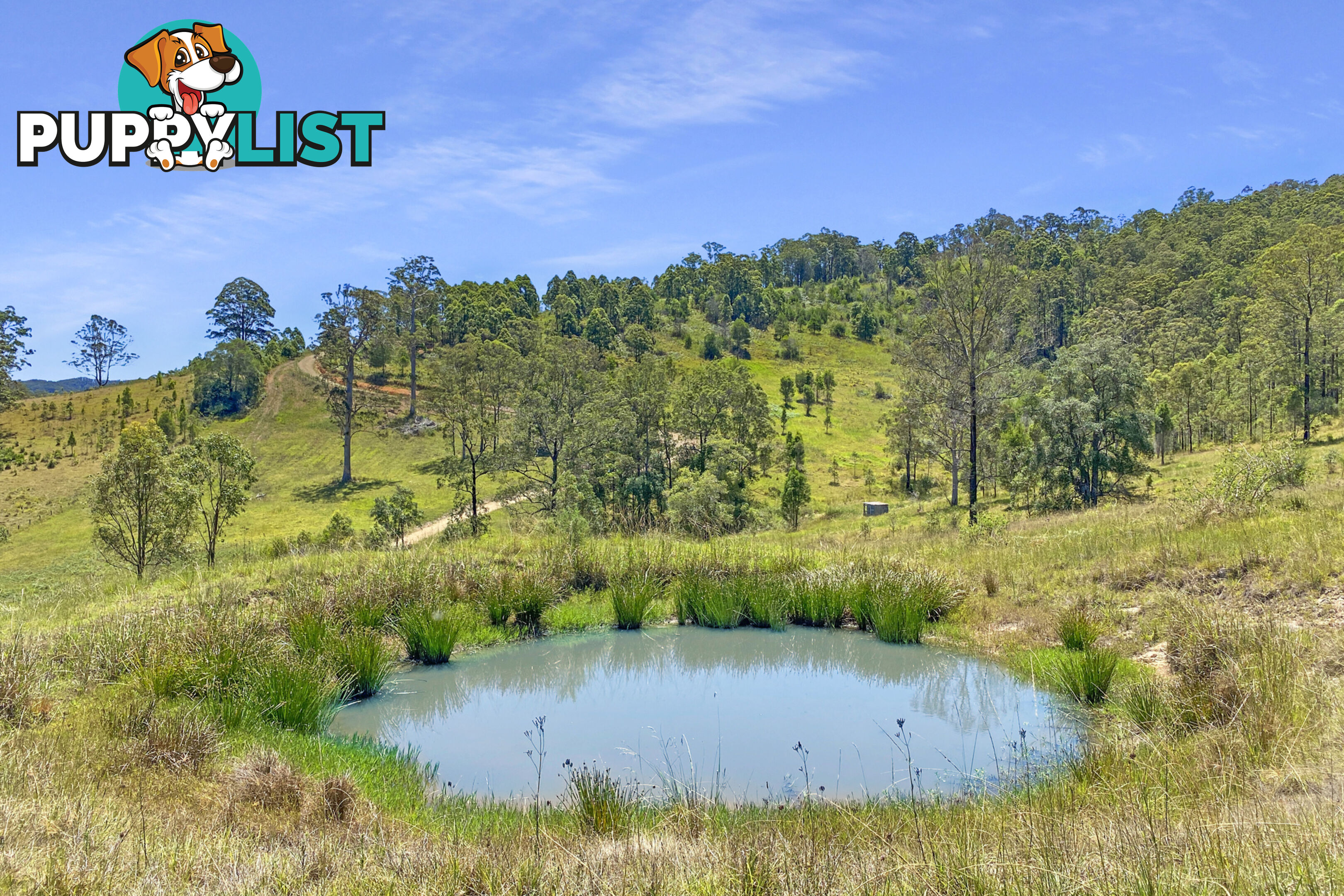 Lot 48 Robinson Road MARLEE NSW 2429