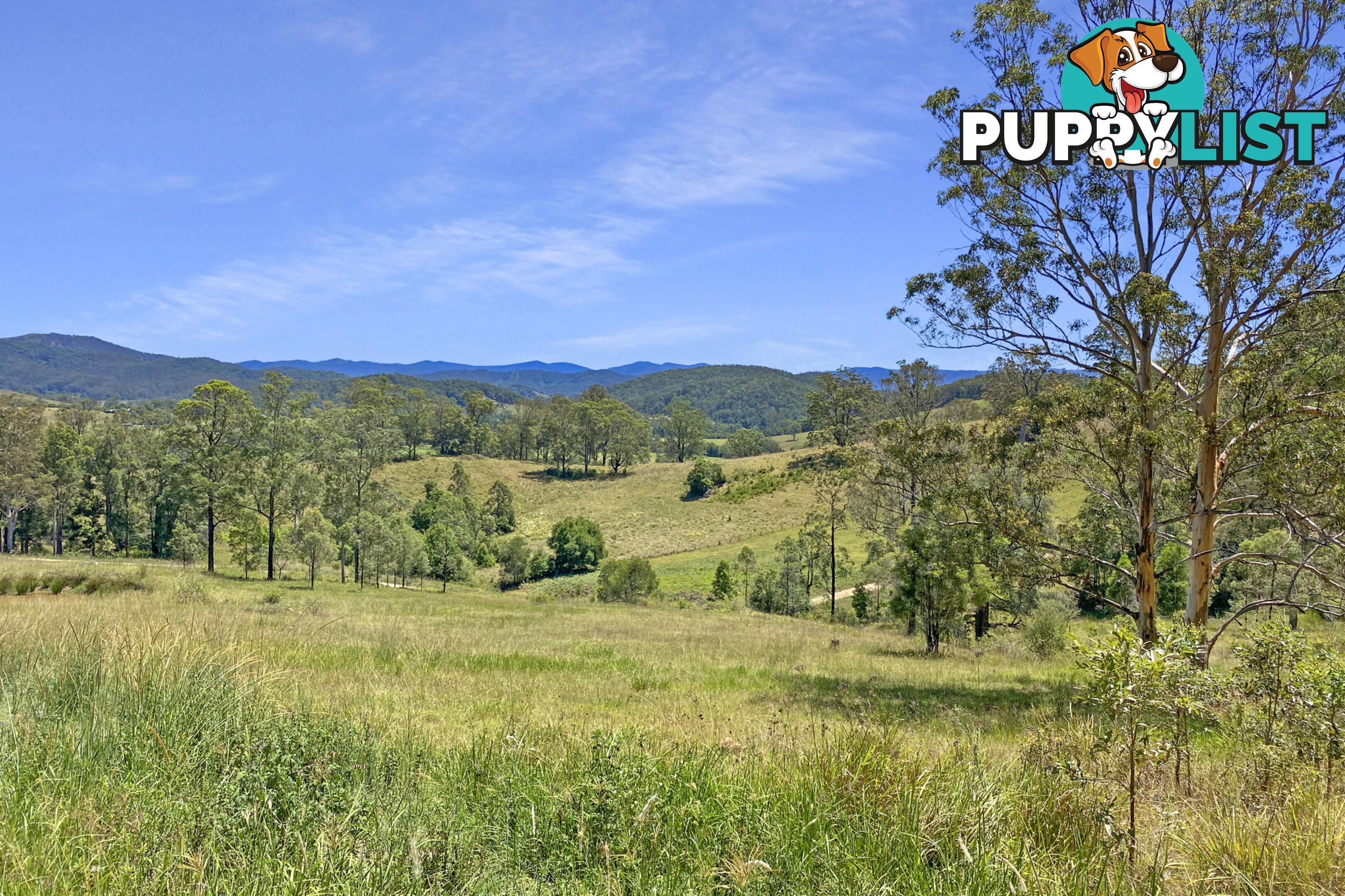 Lot 48 Robinson Road MARLEE NSW 2429