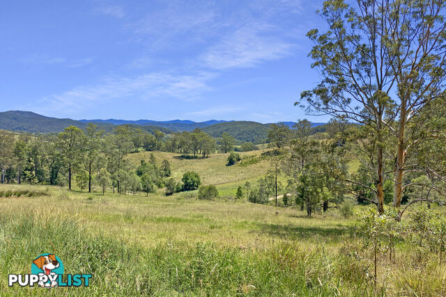 Lot 48 Robinson Road MARLEE NSW 2429