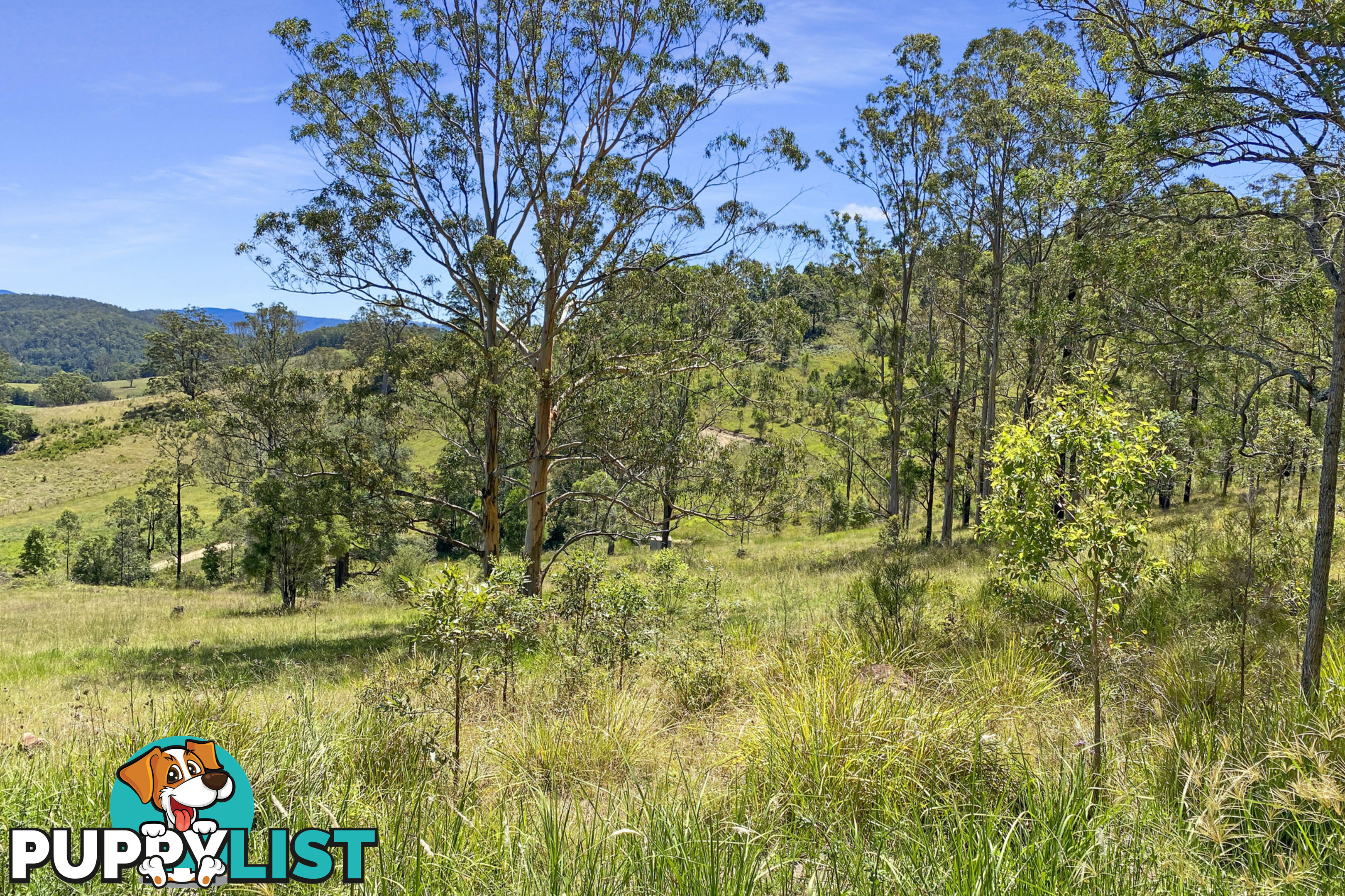 Lot 48 Robinson Road MARLEE NSW 2429