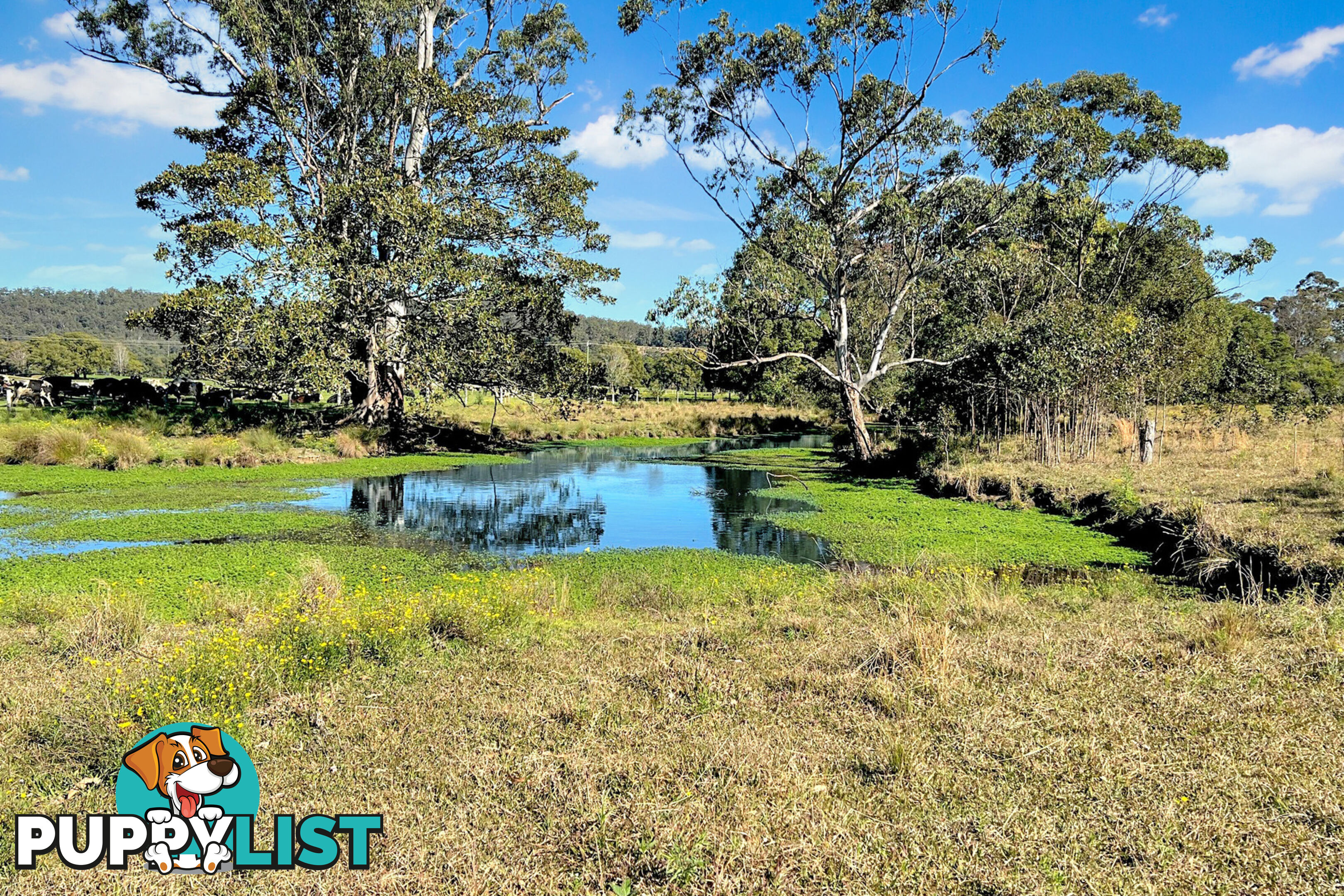 98 Jerusalem Road STEWARTS RIVER NSW 2443