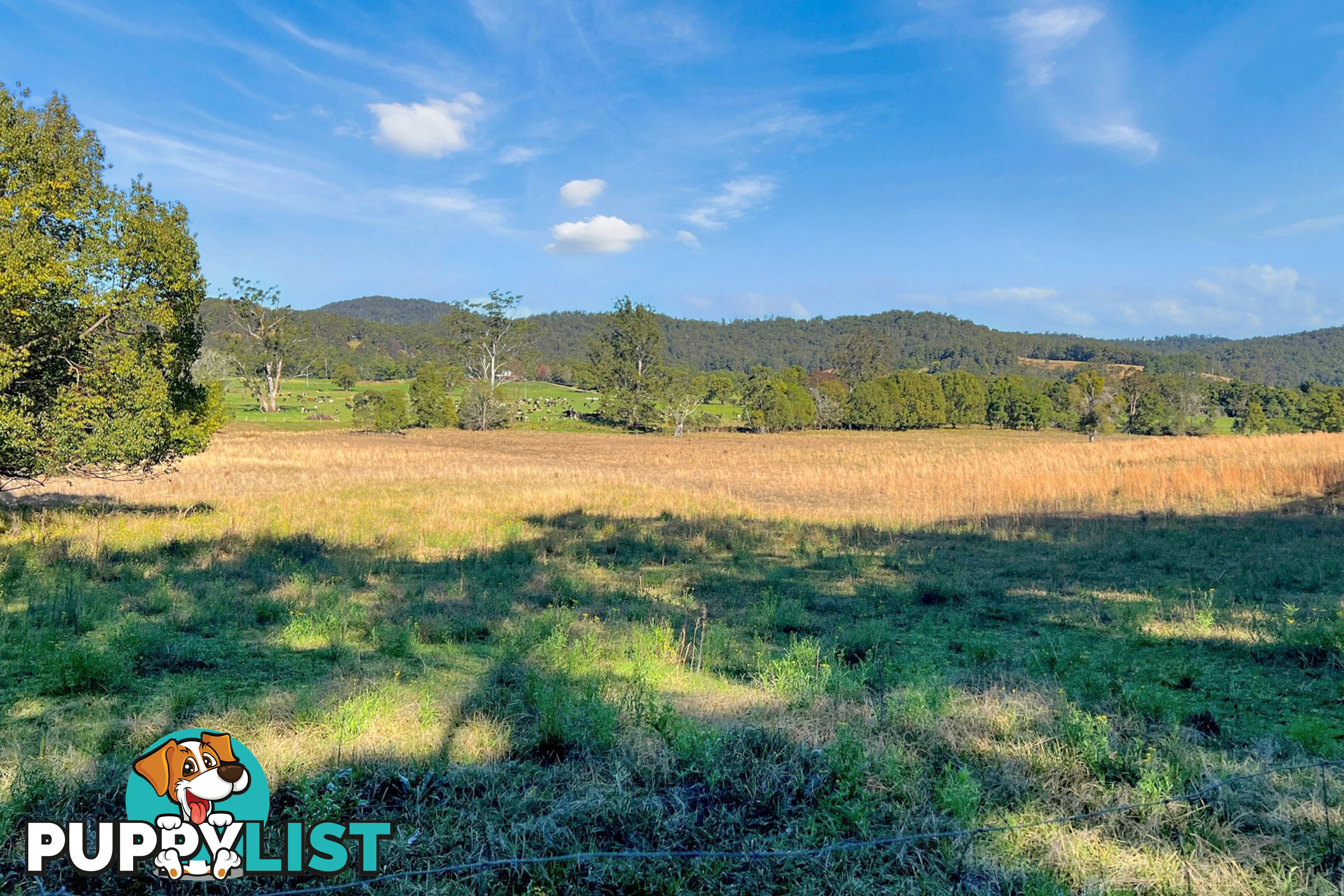 98 Jerusalem Road STEWARTS RIVER NSW 2443