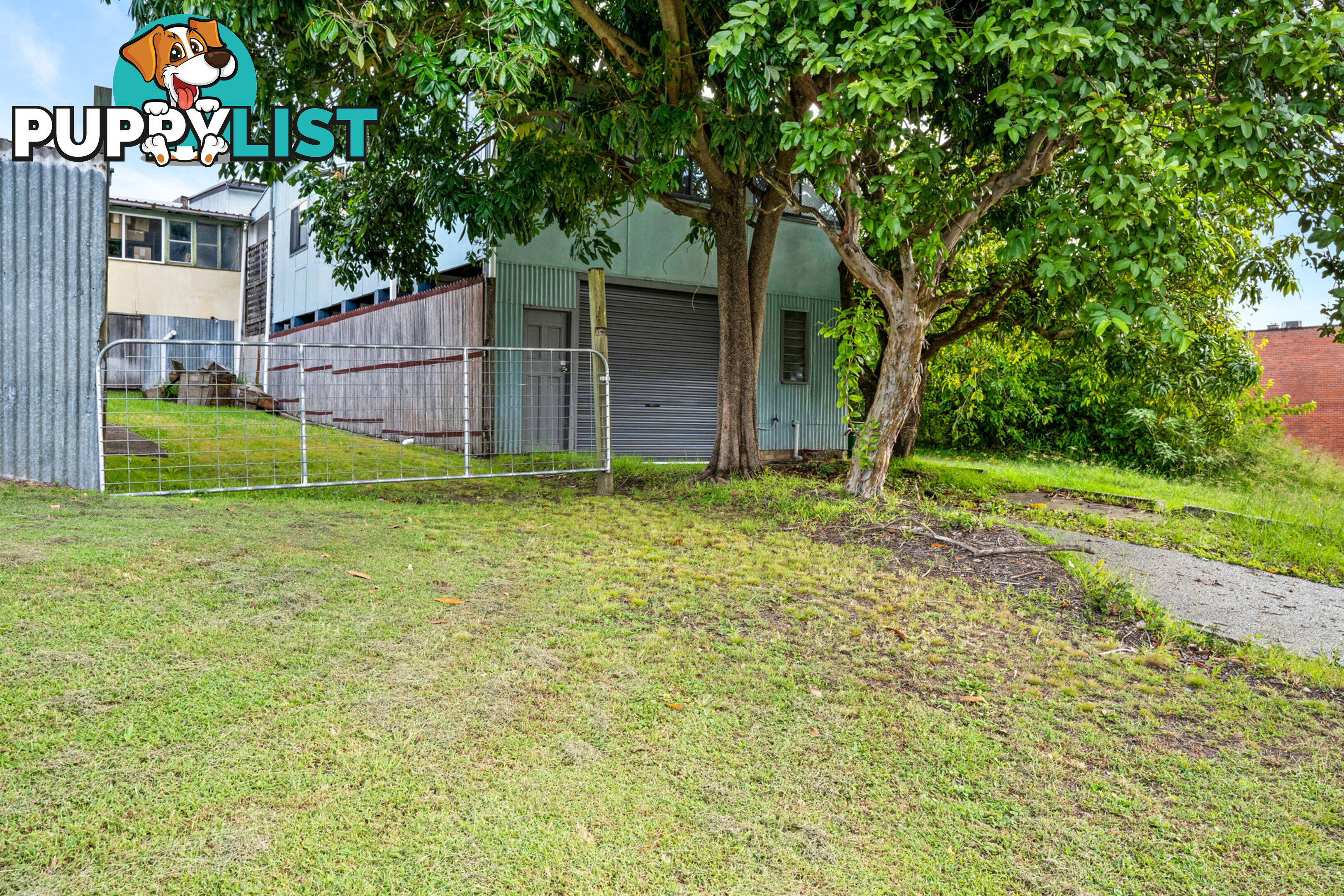 55 Isabella Street WINGHAM NSW 2429