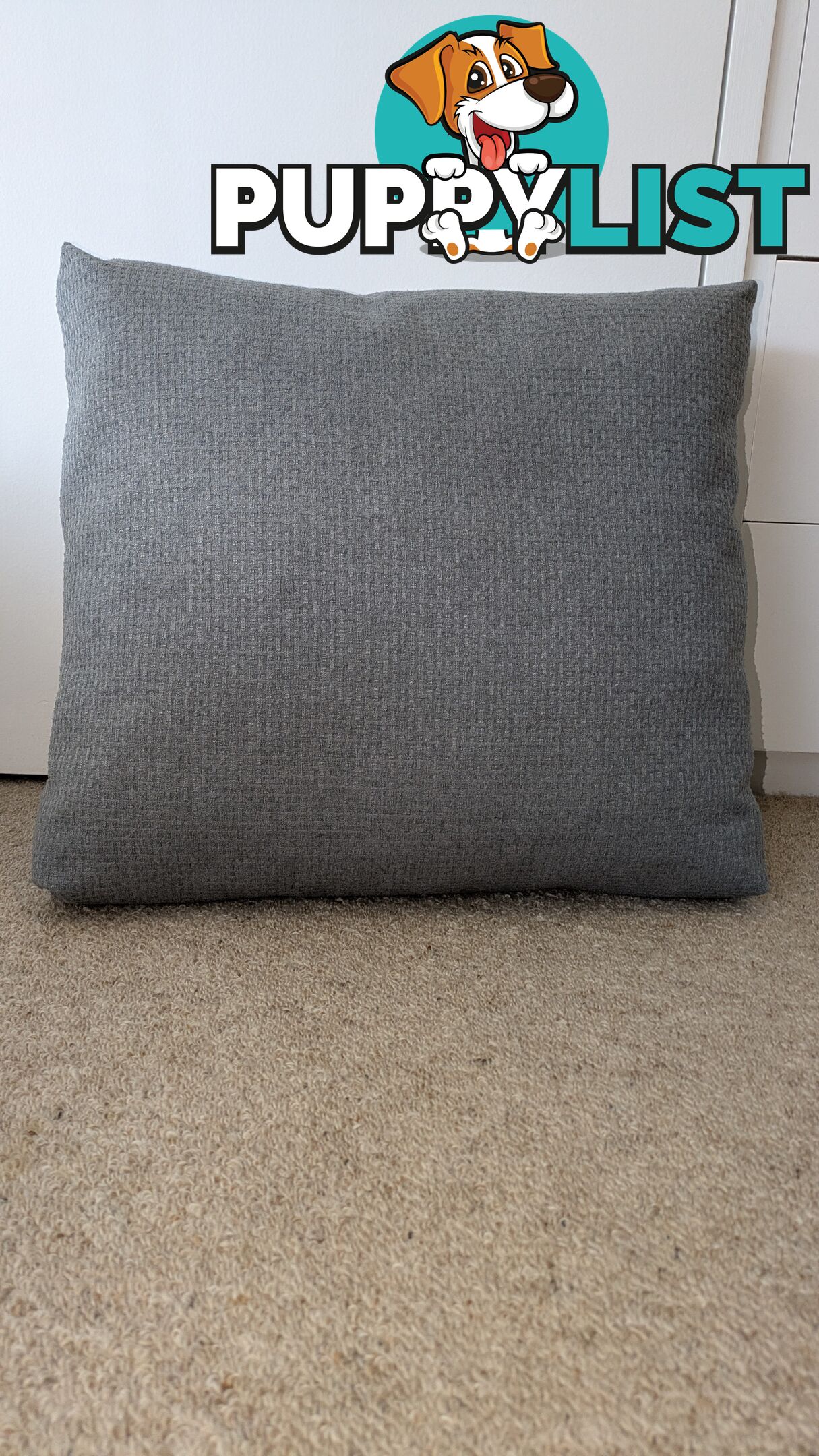 5 cushions