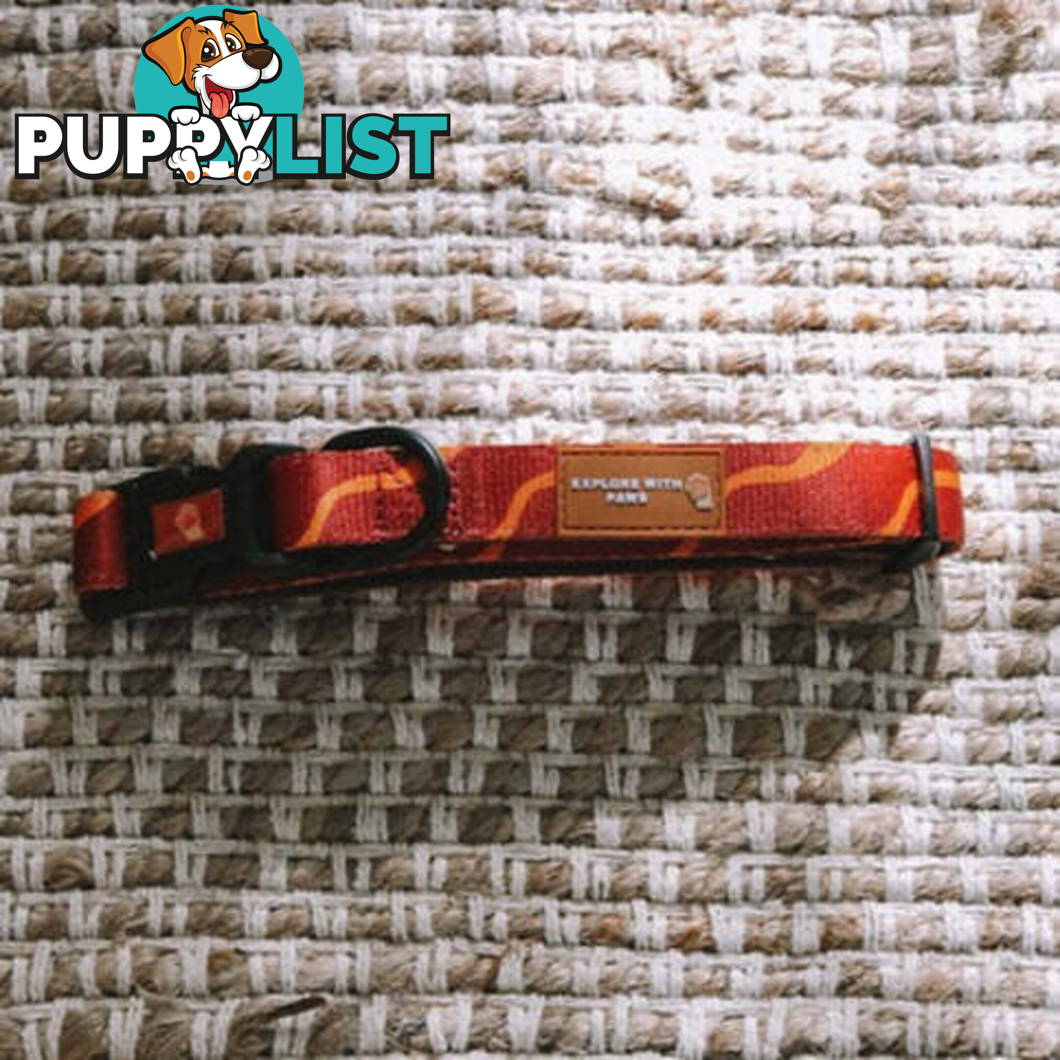 Designer Dog Collars by Explore with Paws - EWPCOLMTIGN