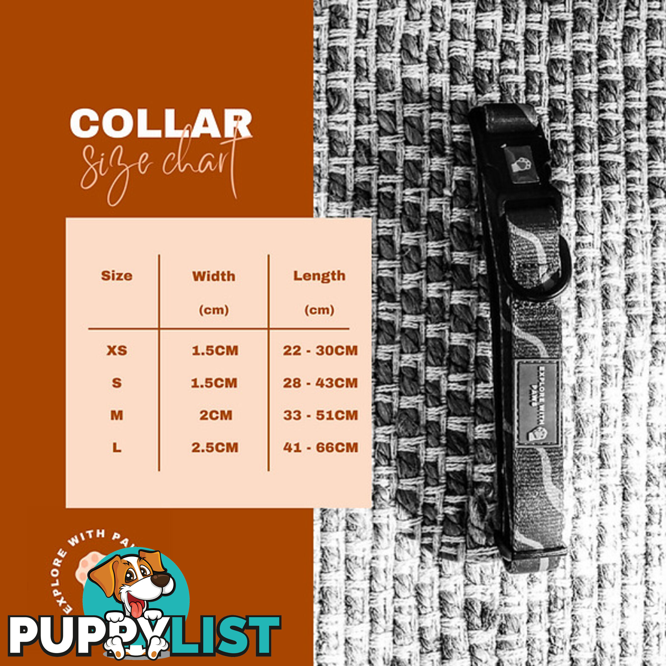 Designer Dog Collars by Explore with Paws - EWPCOLMTIGN