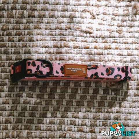 Designer Dog Collars by Explore with Paws - EWPCOLMTIGN