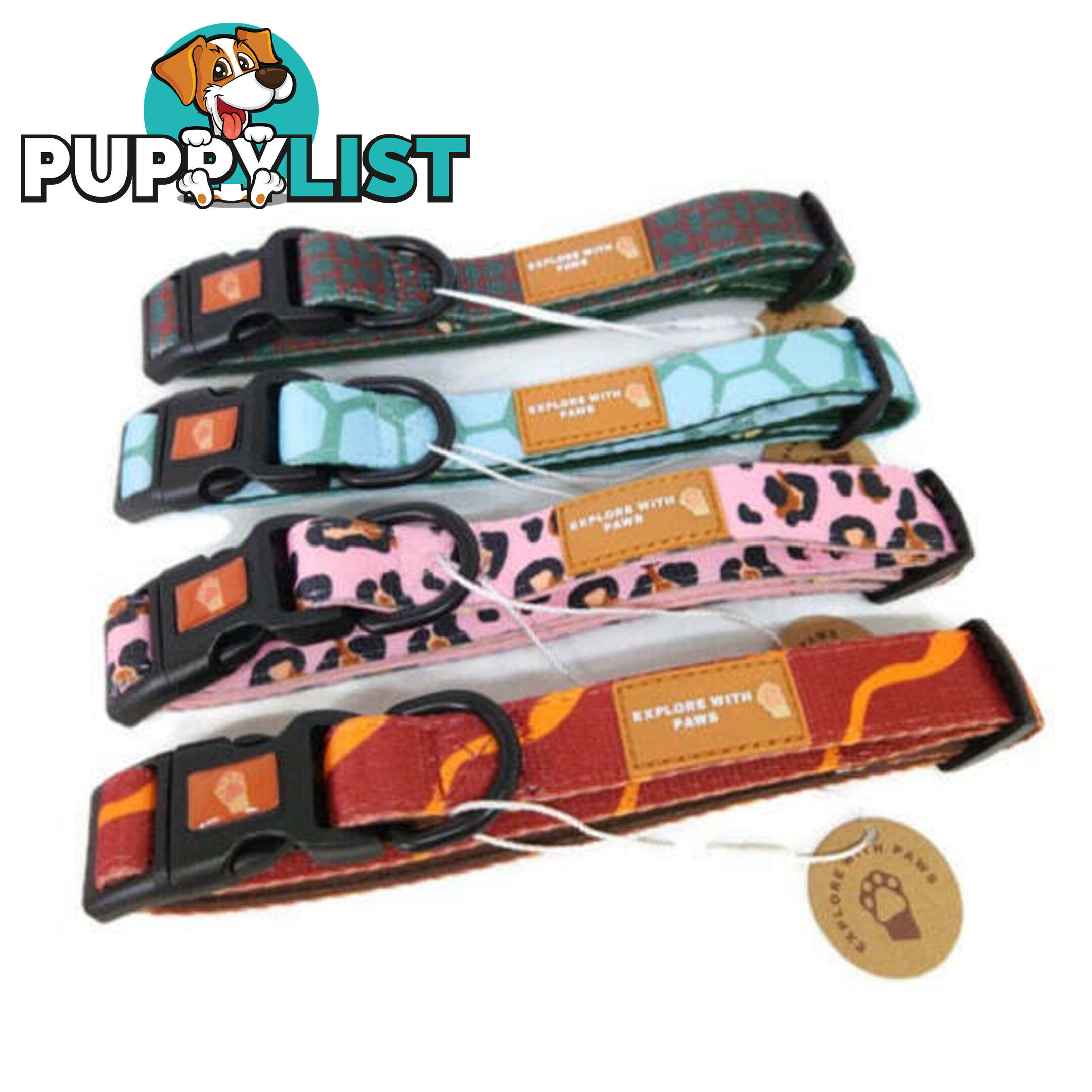 Designer Dog Collars by Explore with Paws - EWPCOLMTIGN