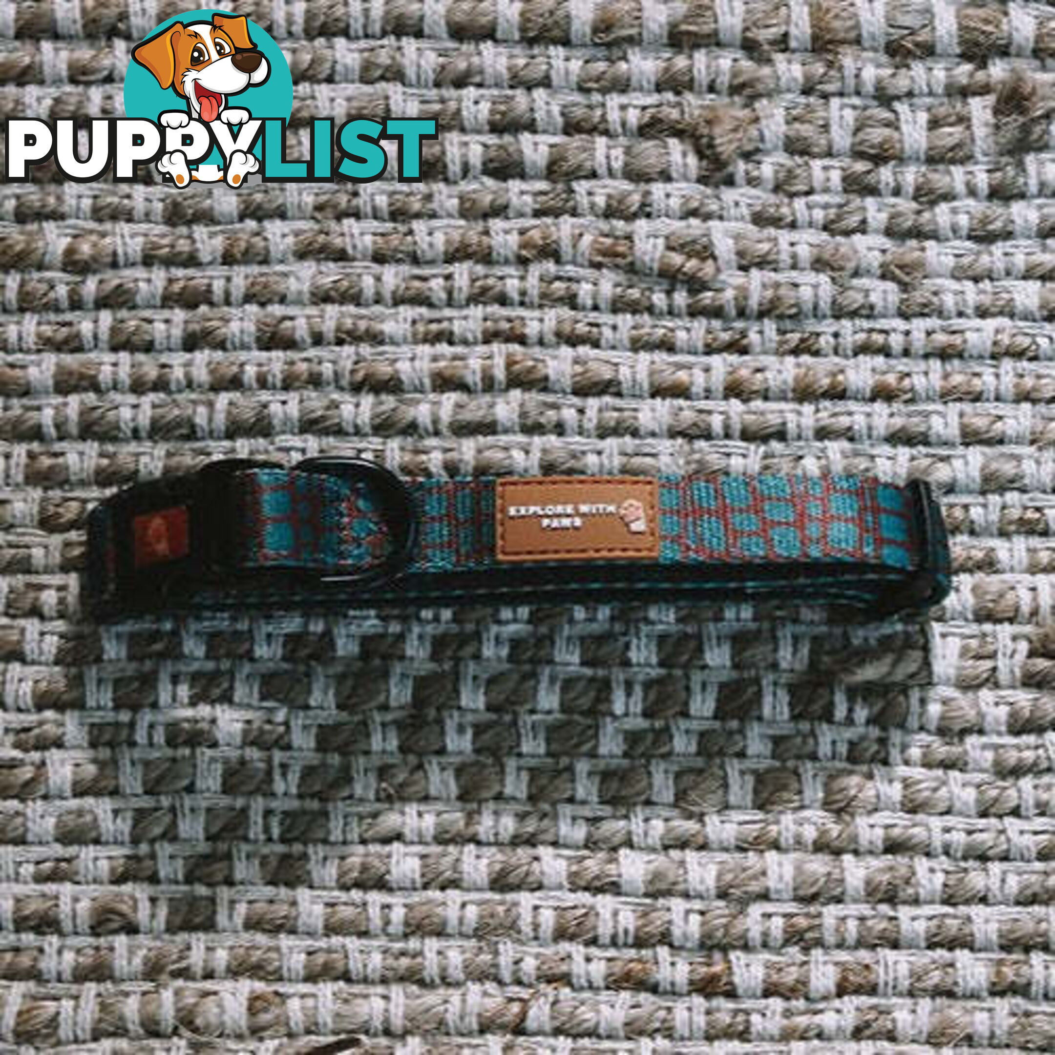 Designer Dog Collars by Explore with Paws - EWPCOLMTIGN