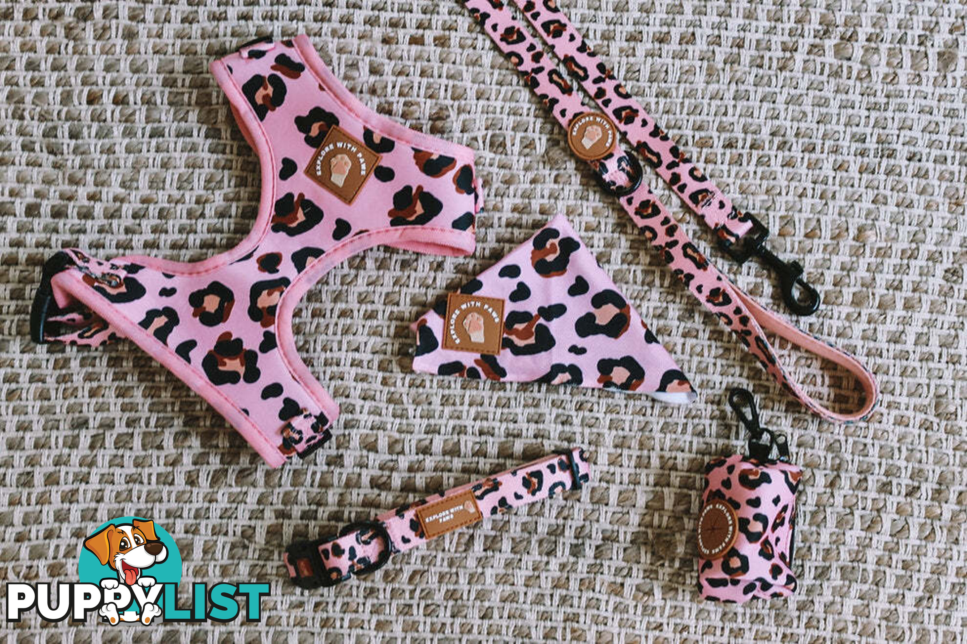 Designer Dog Collars by Explore with Paws - EWPCOLMTIGN