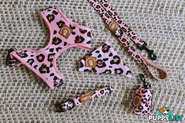 Designer Dog Collars by Explore with Paws - EWPCOLMTIGN