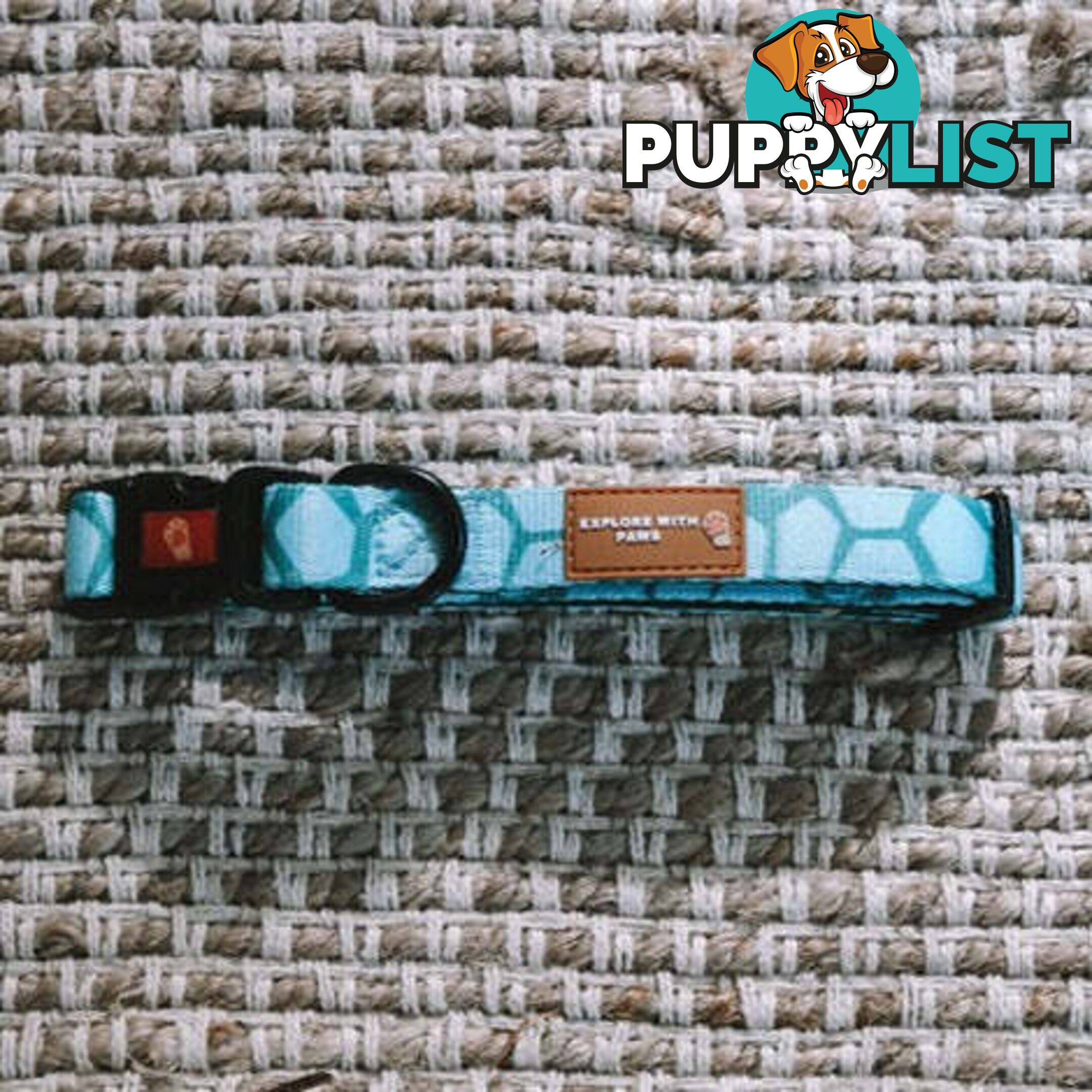 Designer Dog Collars by Explore with Paws - EWPCOLMTIGN
