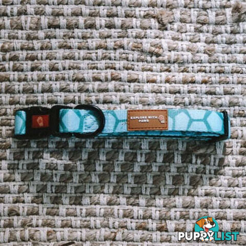 Designer Dog Collars by Explore with Paws - EWPCOLMTIGN