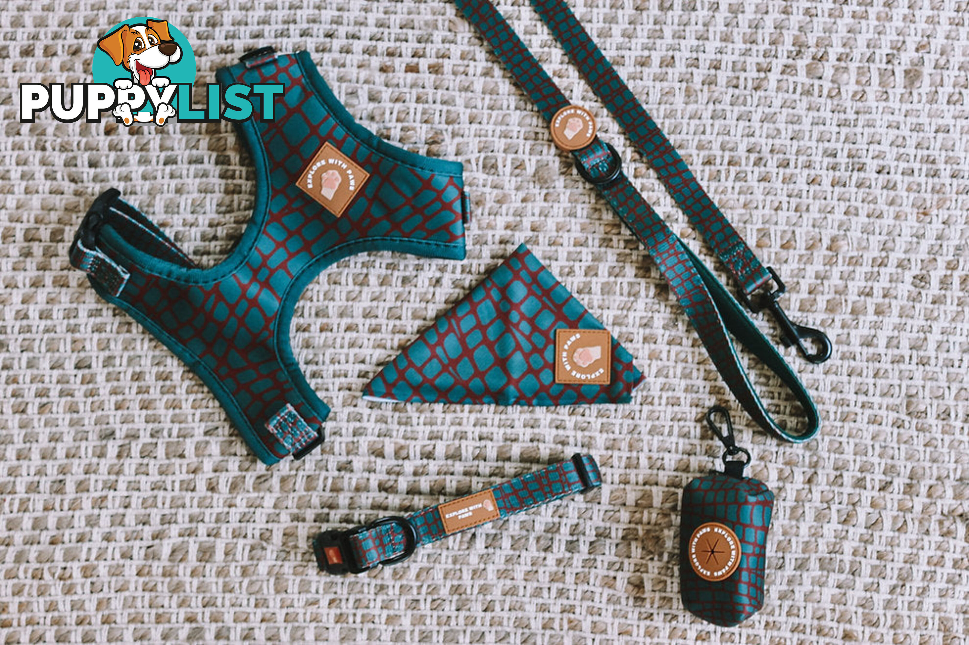 Designer Dog Collars by Explore with Paws - EWPCOLMTIGN