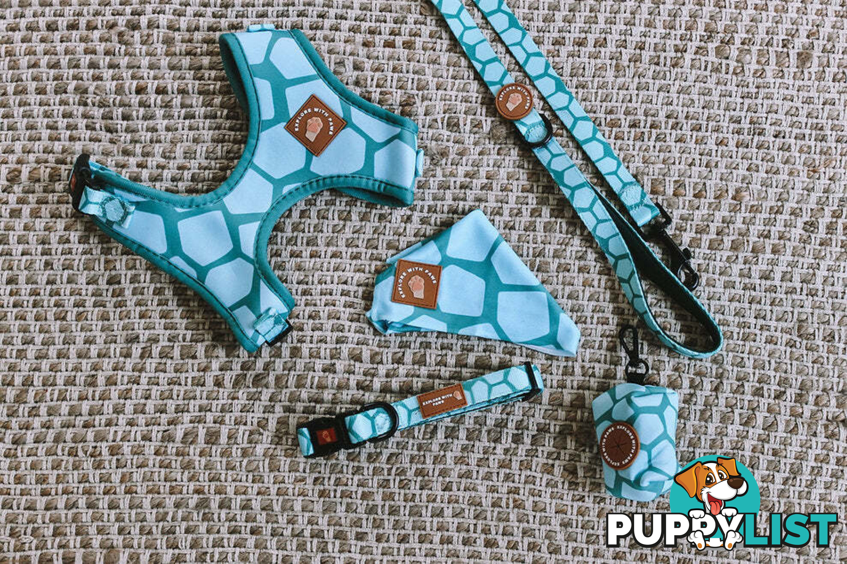 Designer Dog Collars by Explore with Paws - EWPCOLMTIGN