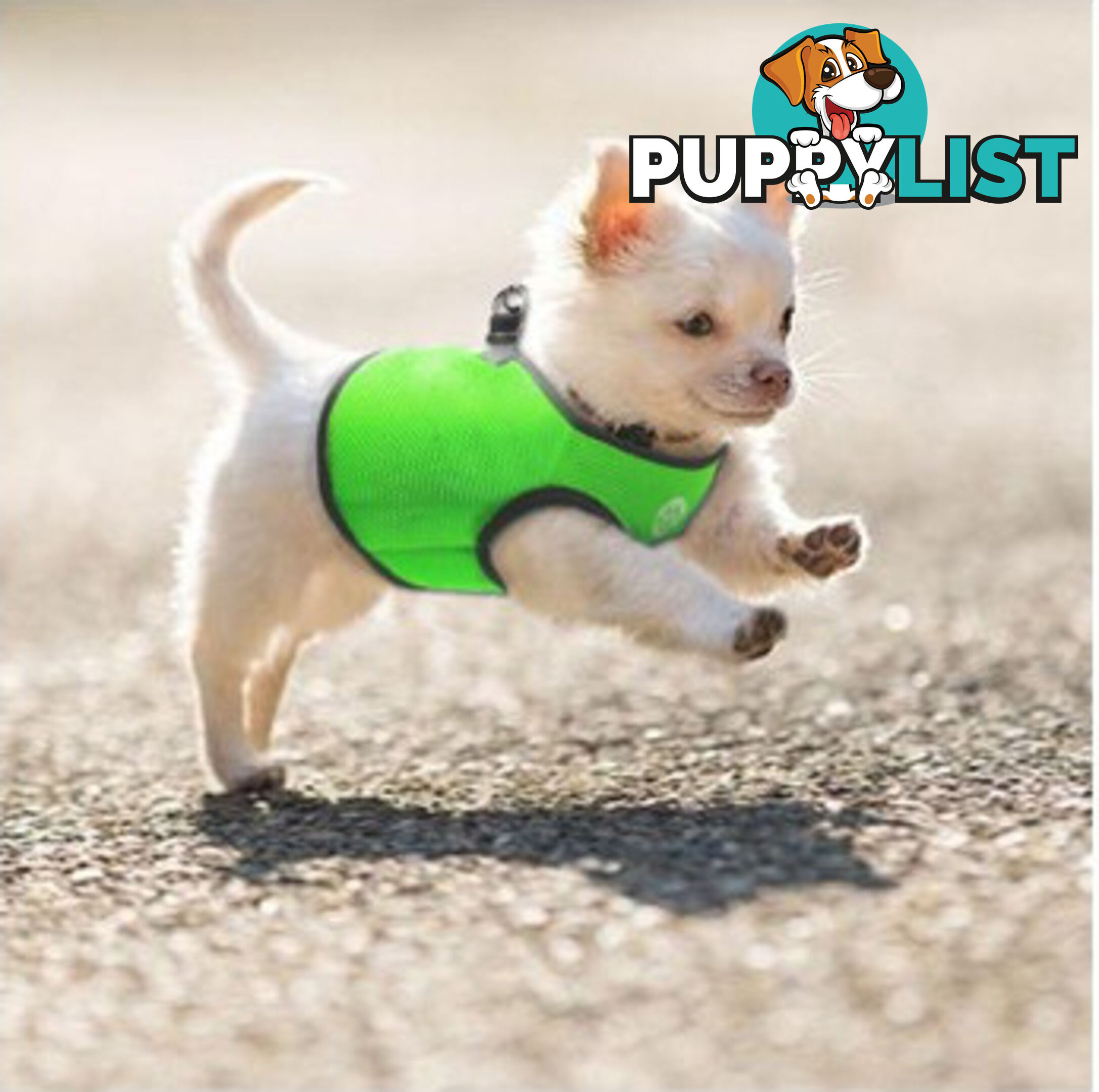 Vest Harness Pet Dog-Cat Step-in Velcro and Buckle Attachments - Moondidley Pets - MDPVESTLRED