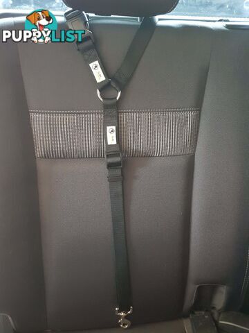 Dog Seatbelt Headrest Restraint Safety Travel - Moondidley Pets - MDPHRSBBU