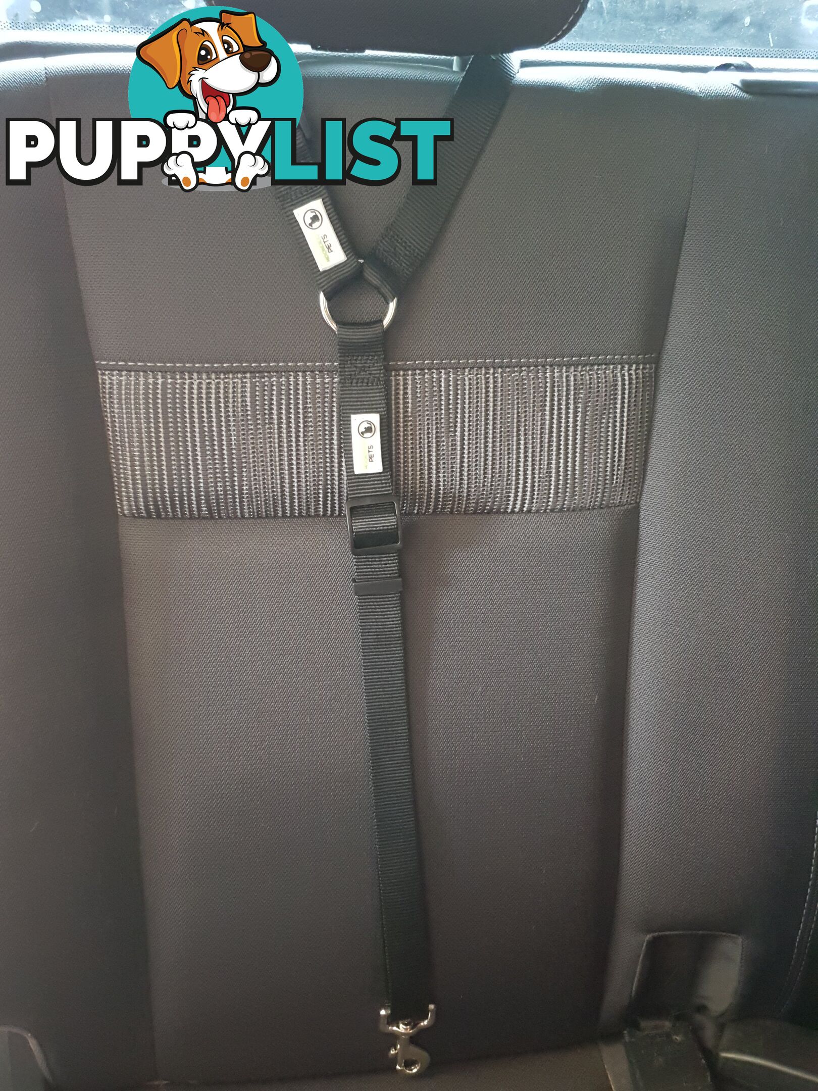Dog Seatbelt Headrest Restraint Safety Travel - Moondidley Pets - MDPHRSBBU