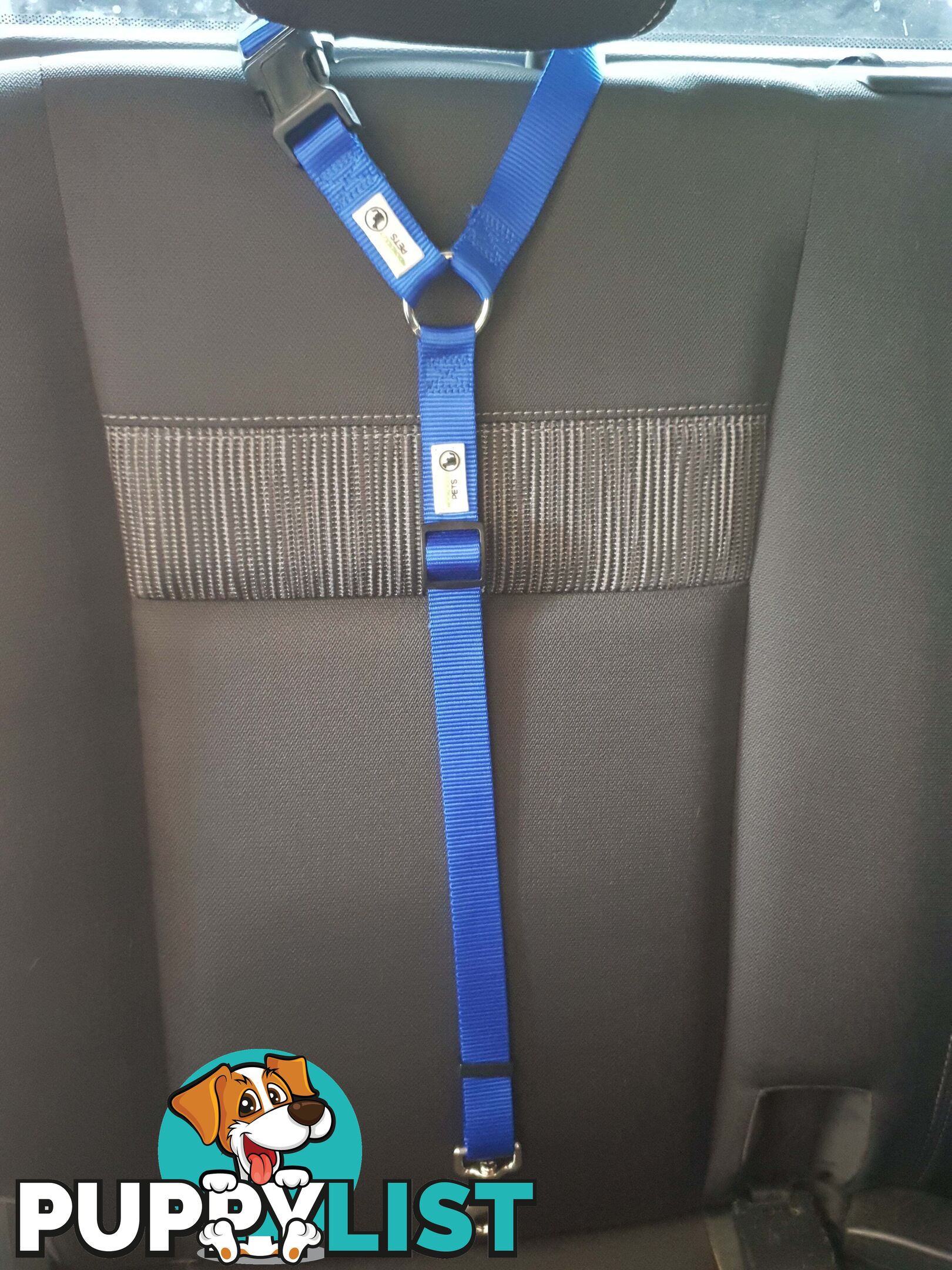 Dog Seatbelt Headrest Restraint Safety Travel - Moondidley Pets - MDPHRSBBU