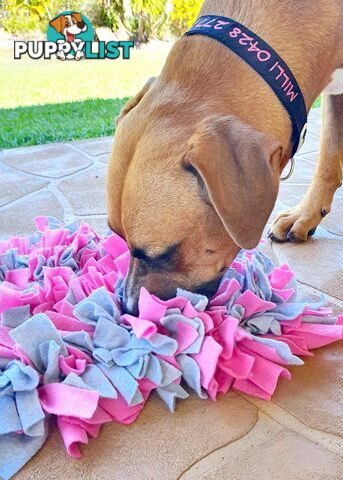 Snuffle Mats - Premium Heavy Duty Rubber Based - Pet Treat Play - Calms Anxiety - Slow Feeder - SNUFFLE-MED-GNBK