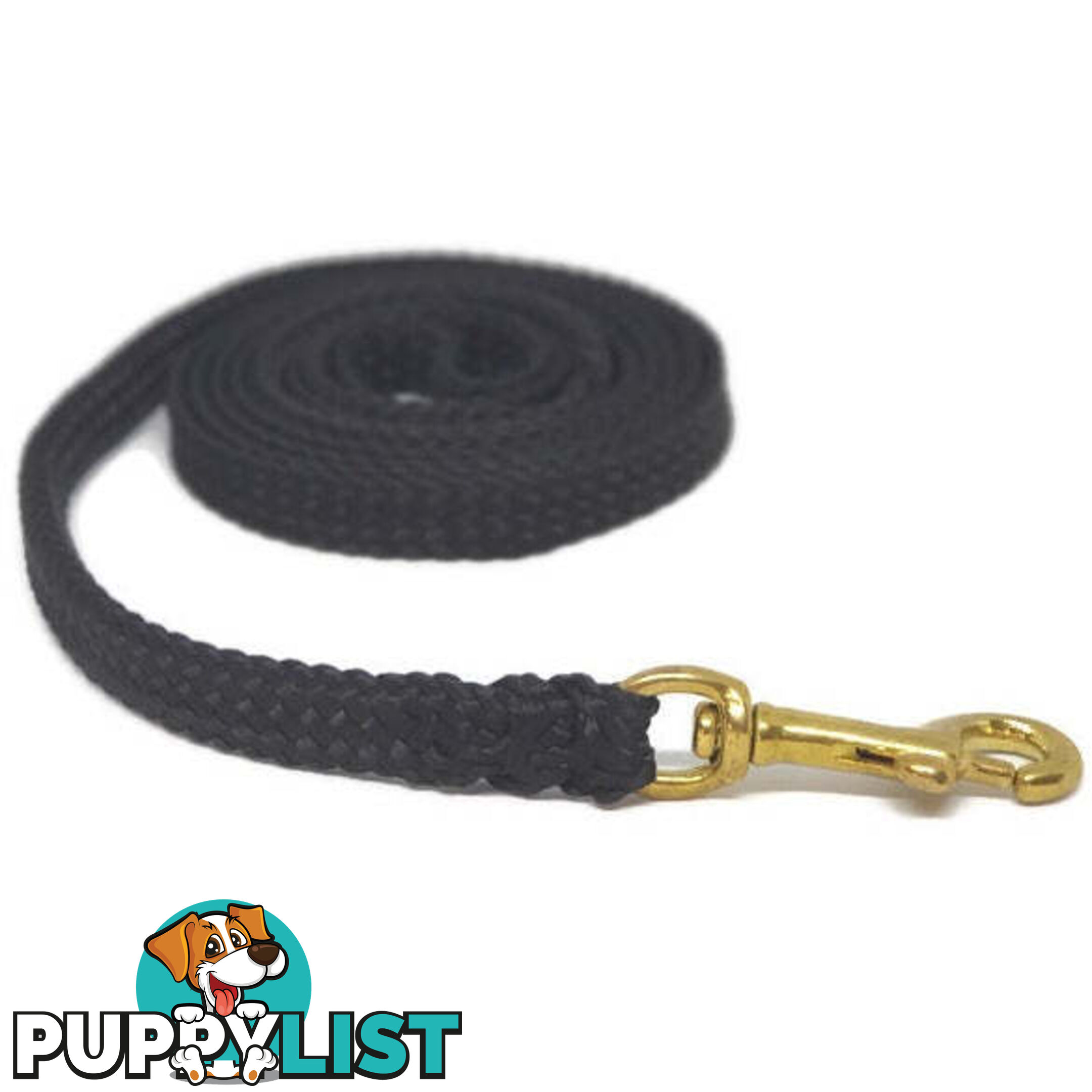 1.8m to 10m Long Dog Lead No Stitching Tough Yarnix 10mm Wide - YNXLD10-1.8-GRN-BR