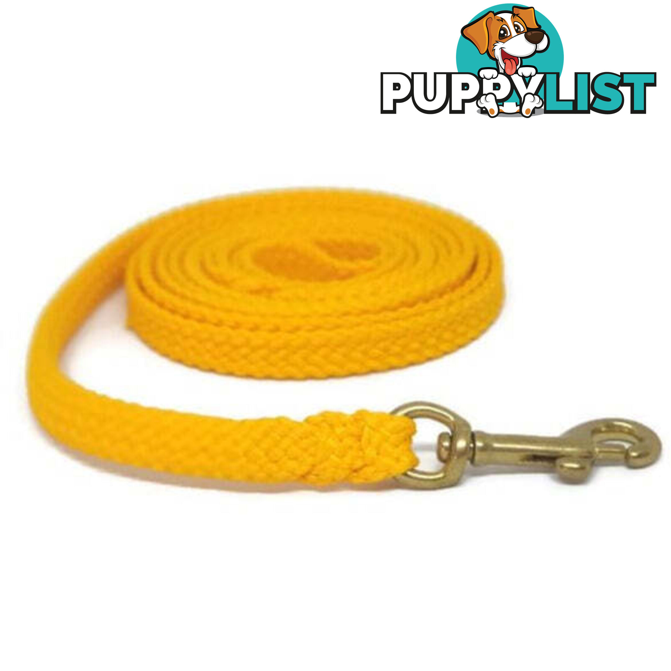 1.8m to 10m Long Dog Lead No Stitching Tough Yarnix 10mm Wide - YNXLD10-1.8-GRN-BR