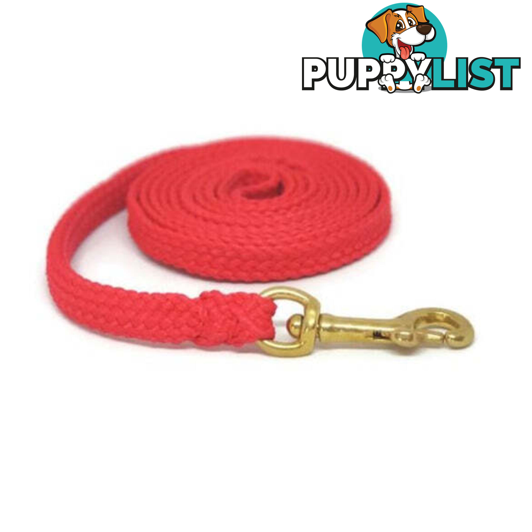 1.8m to 10m Long Dog Lead No Stitching Tough Yarnix 10mm Wide - YNXLD10-1.8-GRN-BR