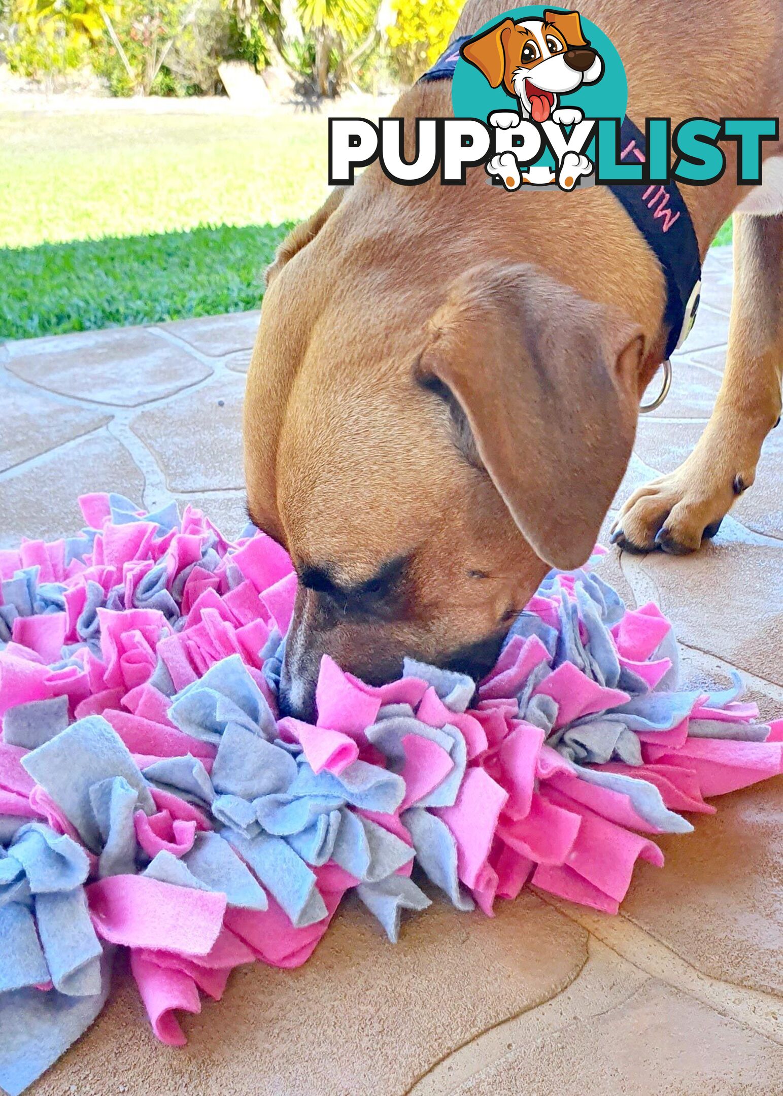 Snuffle Mats - Premium Heavy Duty Rubber Based - Pet Treat Play - Calms Anxiety - Slow Feeder - SNUFFLE-SM-GRNA