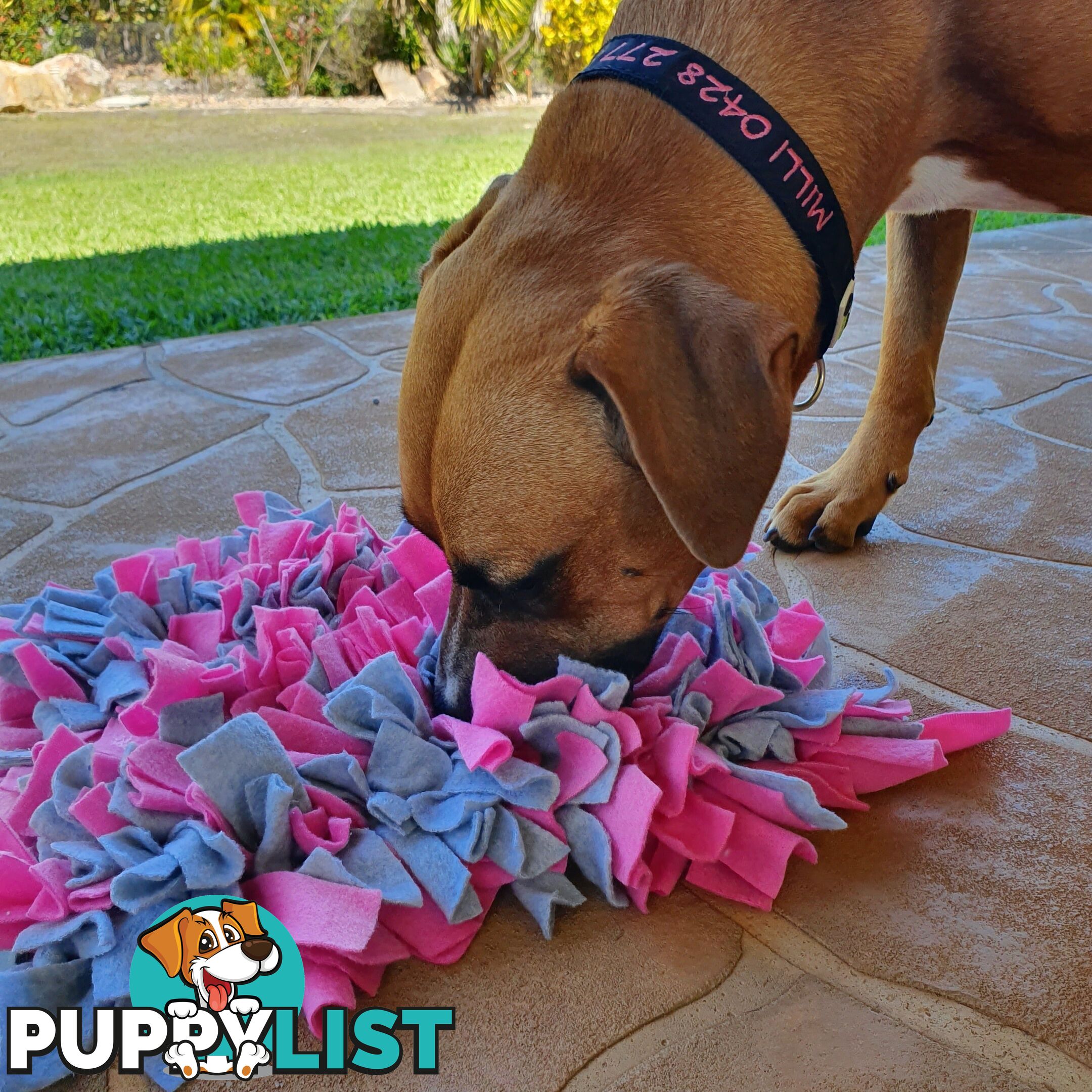 Snuffle Mats - Premium Heavy Duty Rubber Based - Pet Treat Play - Calms Anxiety - Slow Feeder - SNUFFLE-SM-GRNA