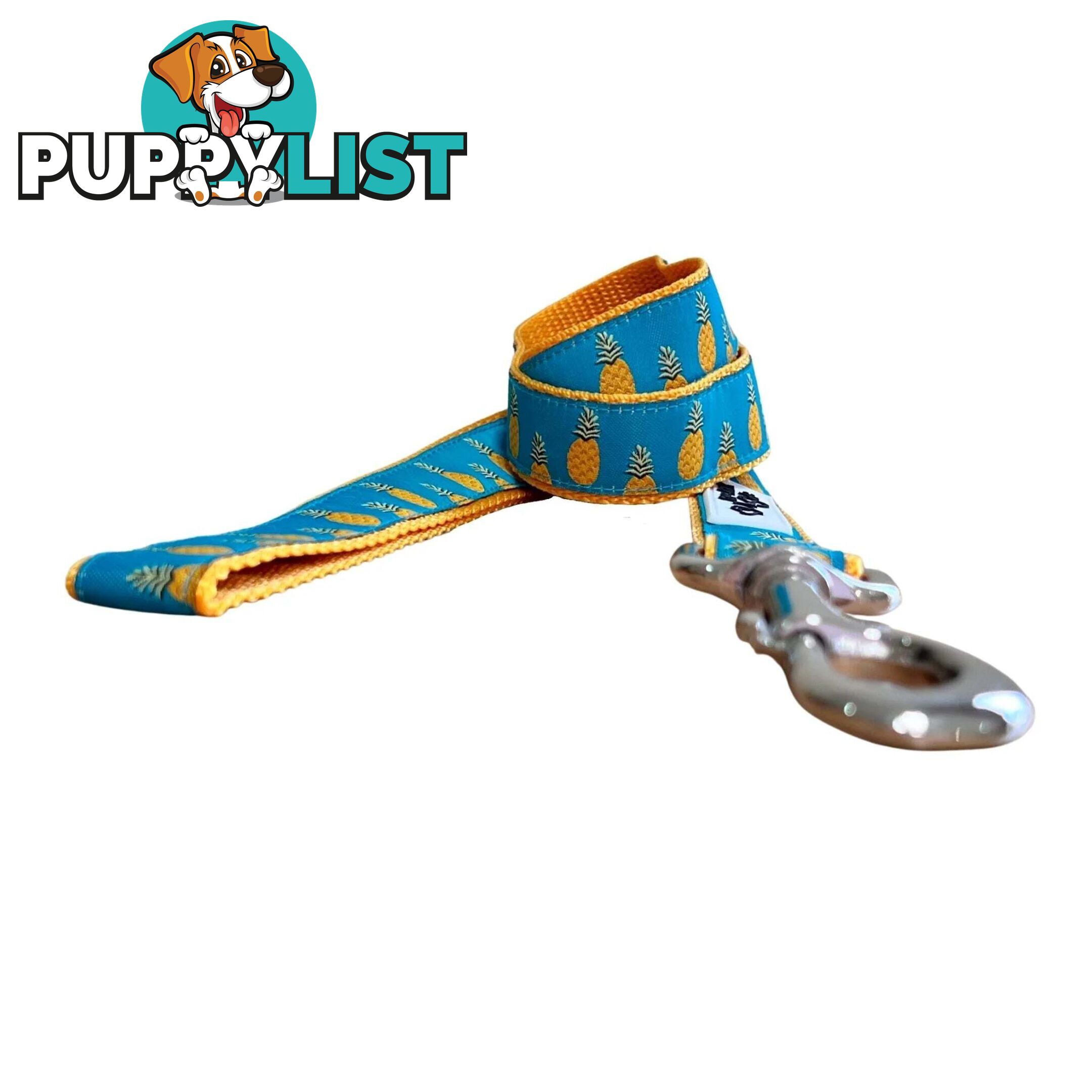 Pineapple Dog Lead - Hand Made by The Bark Side - TBSLDPINE251.5