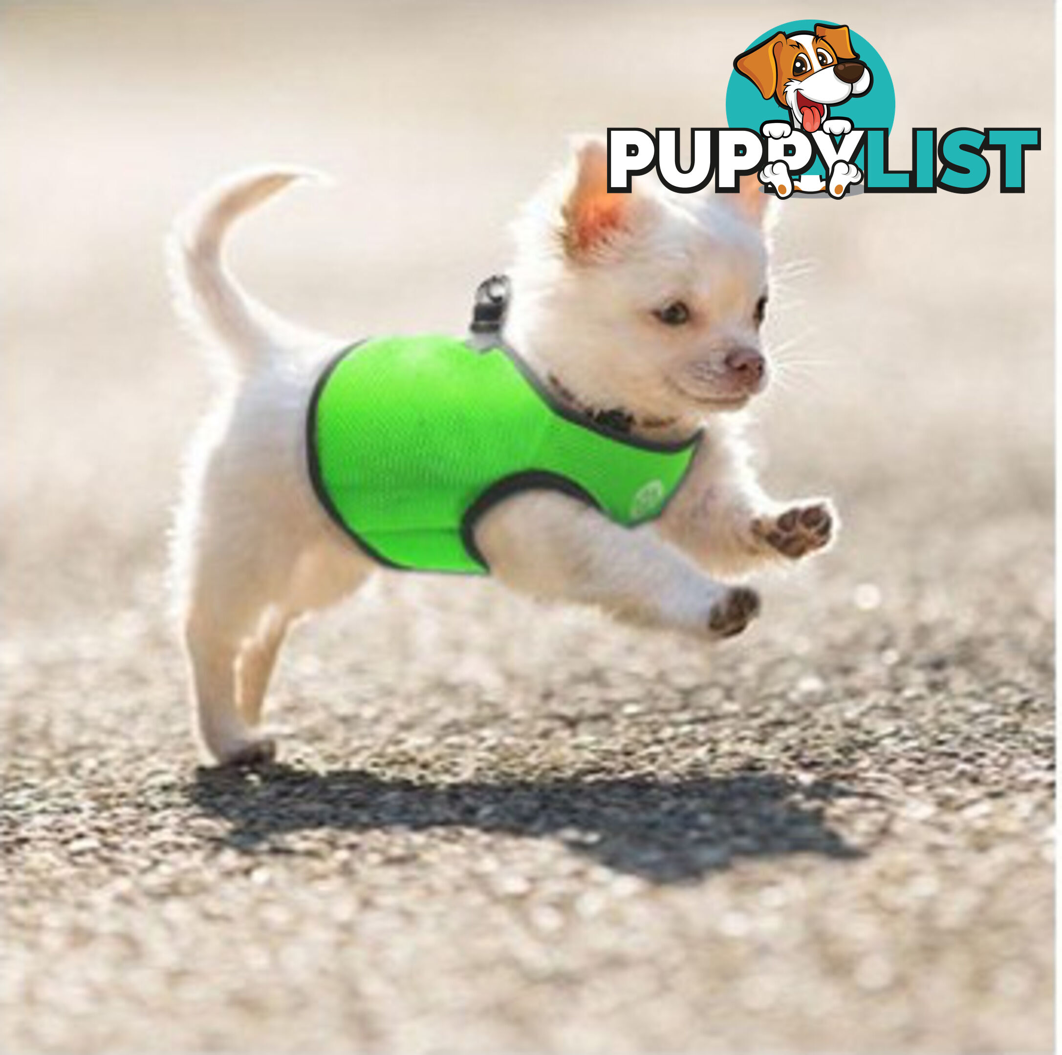 Vest Harness Pet Dog-Cat Step-in Velcro and Buckle Attachments - Moondidley Pets - MDPVESTXLPNK