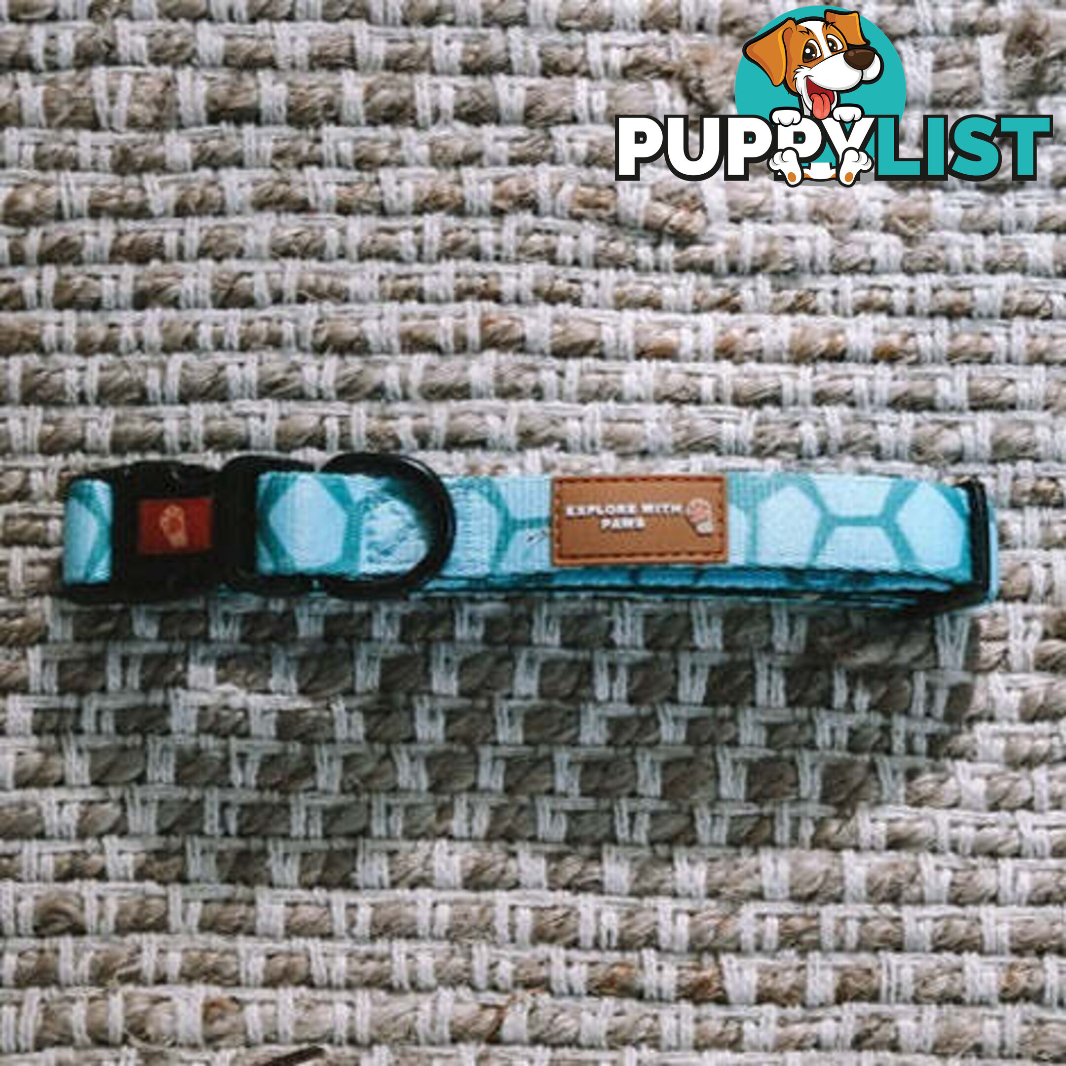 Designer Dog Collars by Explore with Paws - EWPCOLLCRON