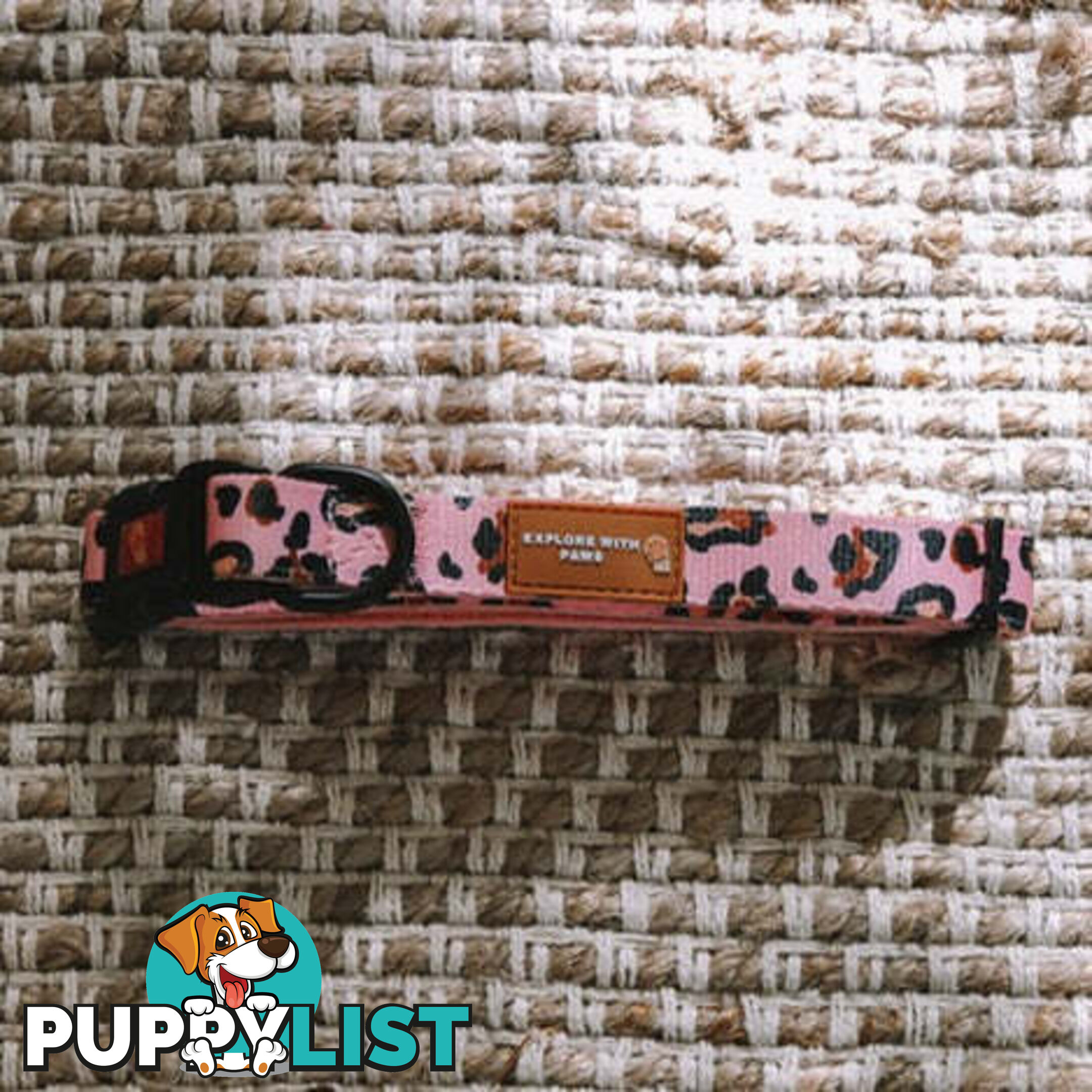 Designer Dog Collars by Explore with Paws - EWPCOLLCRON