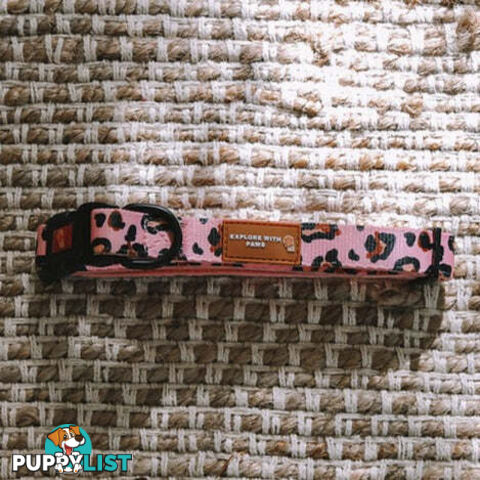 Designer Dog Collars by Explore with Paws - EWPCOLLCRON
