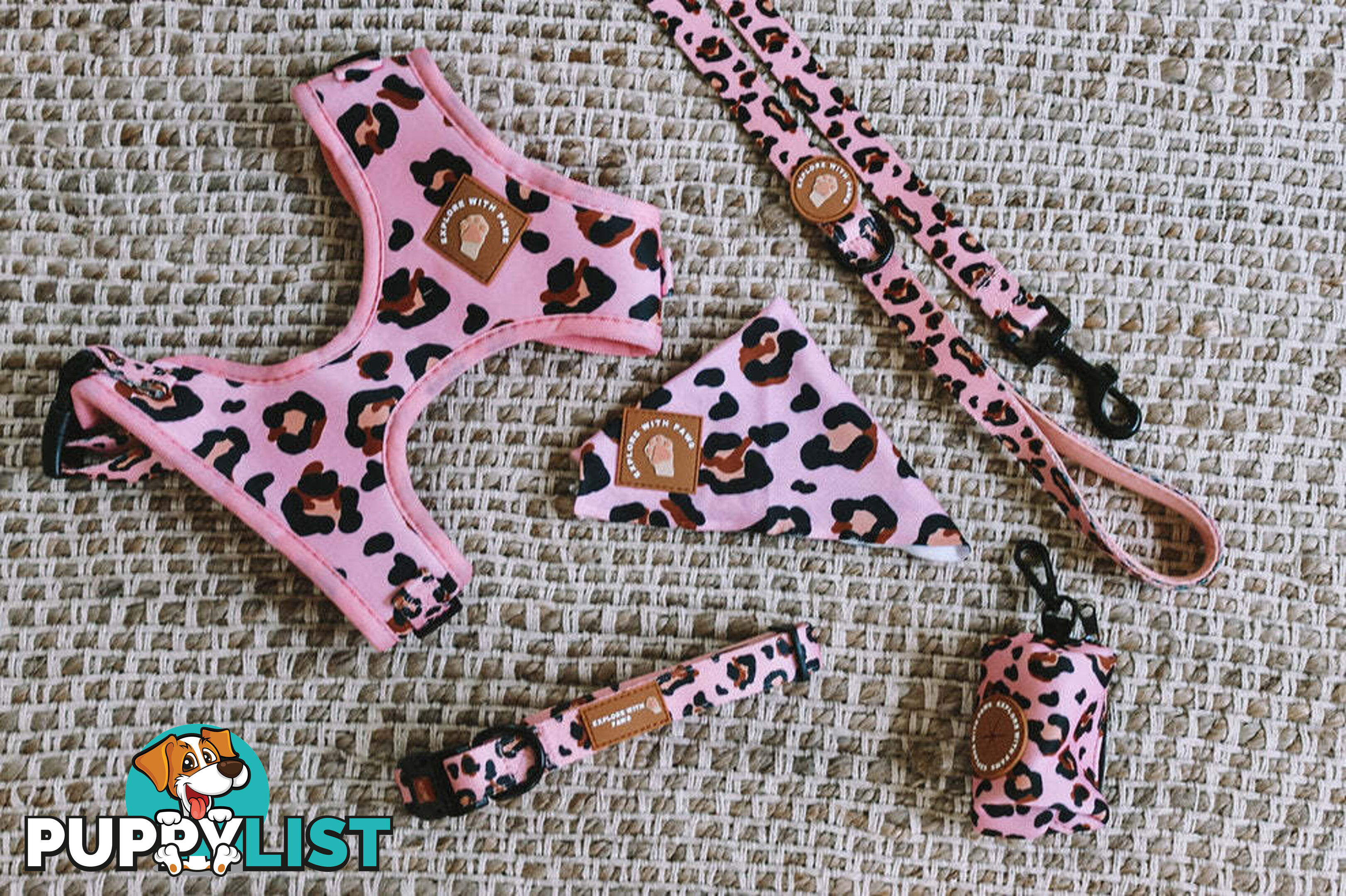 Designer Dog Collars by Explore with Paws - EWPCOLLCRON
