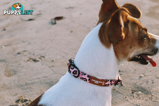 Designer Dog Collars by Explore with Paws - EWPCOLLCRON