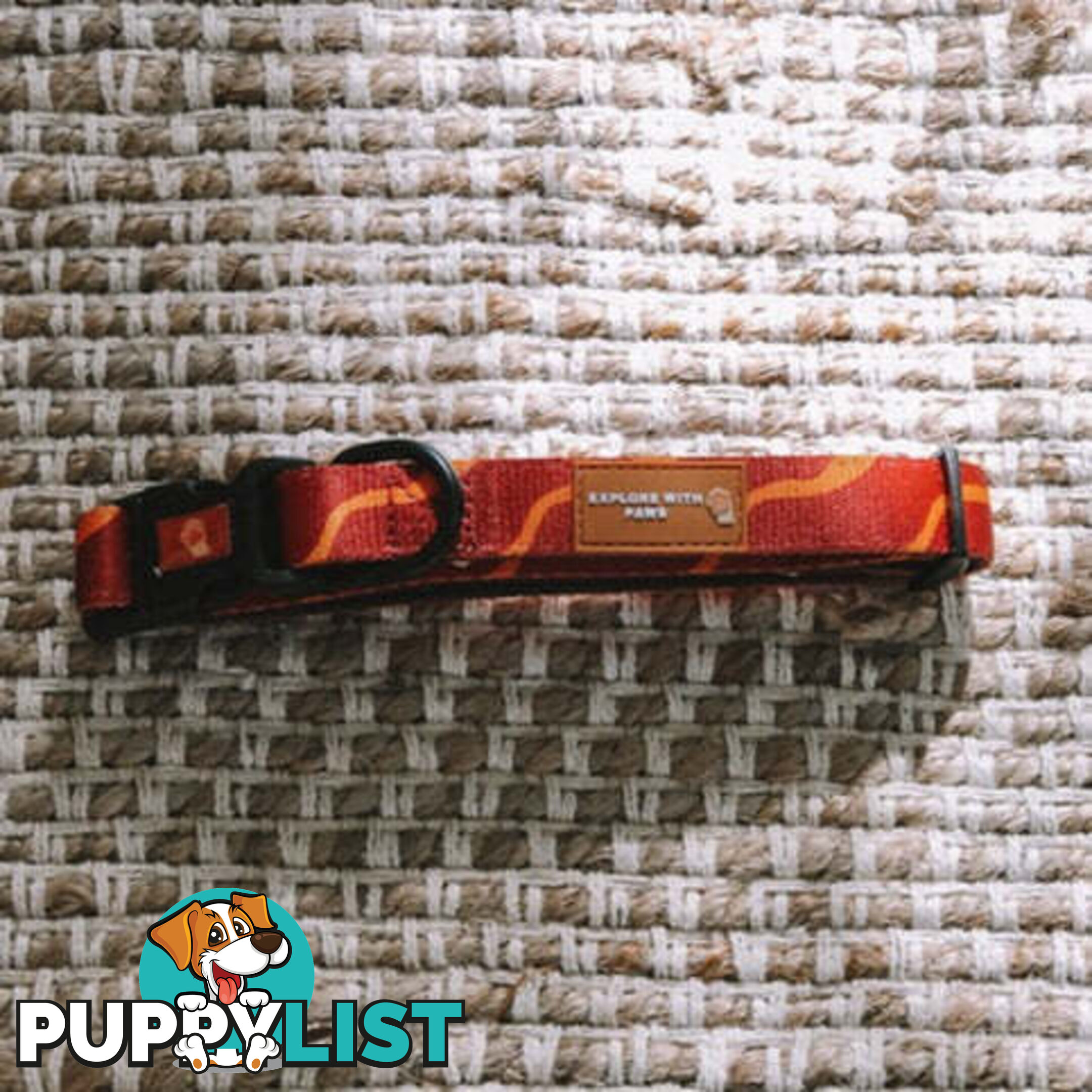 Designer Dog Collars by Explore with Paws - EWPCOLLCRON