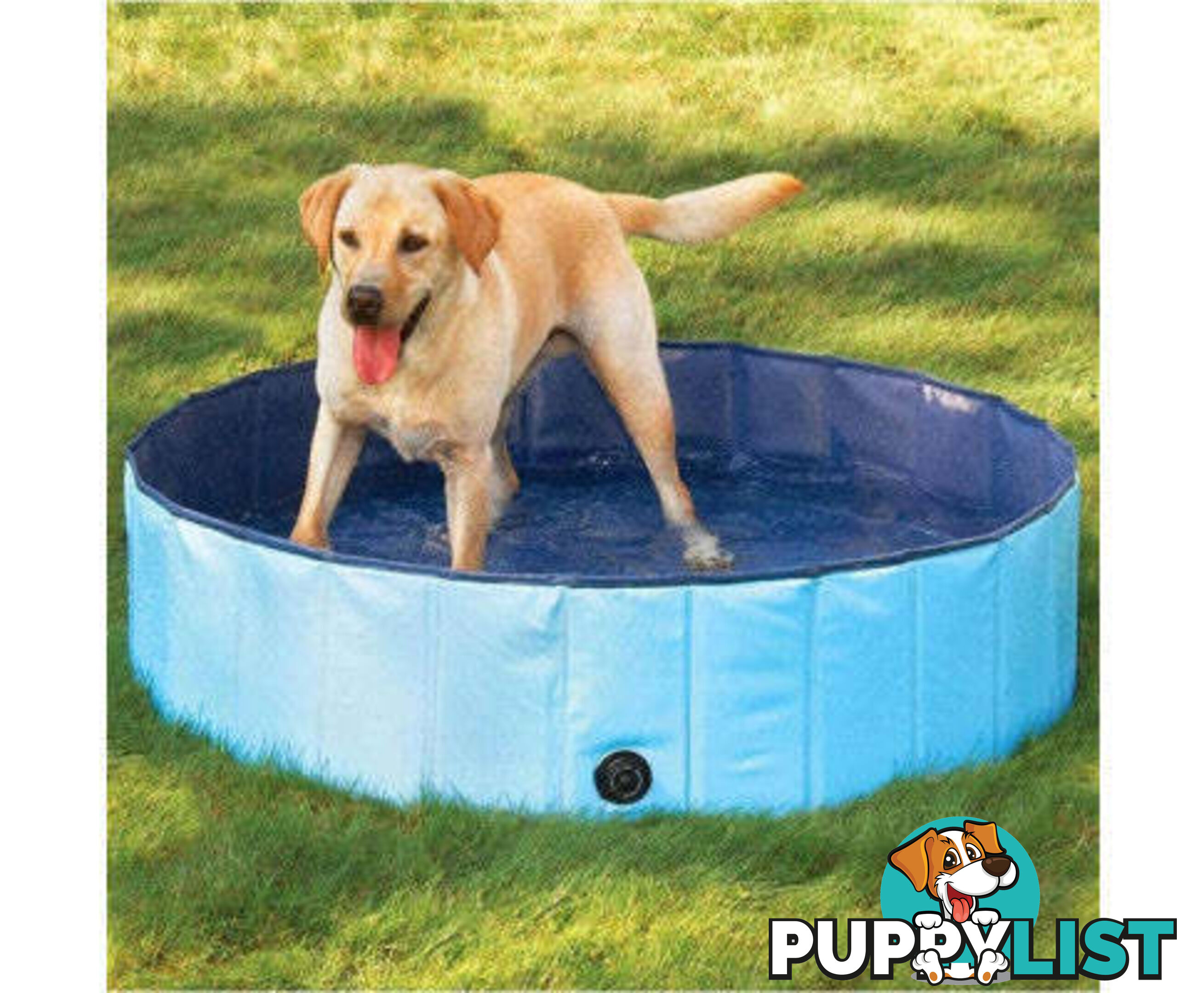 Floofi Pet Pool - V227-3331641004040